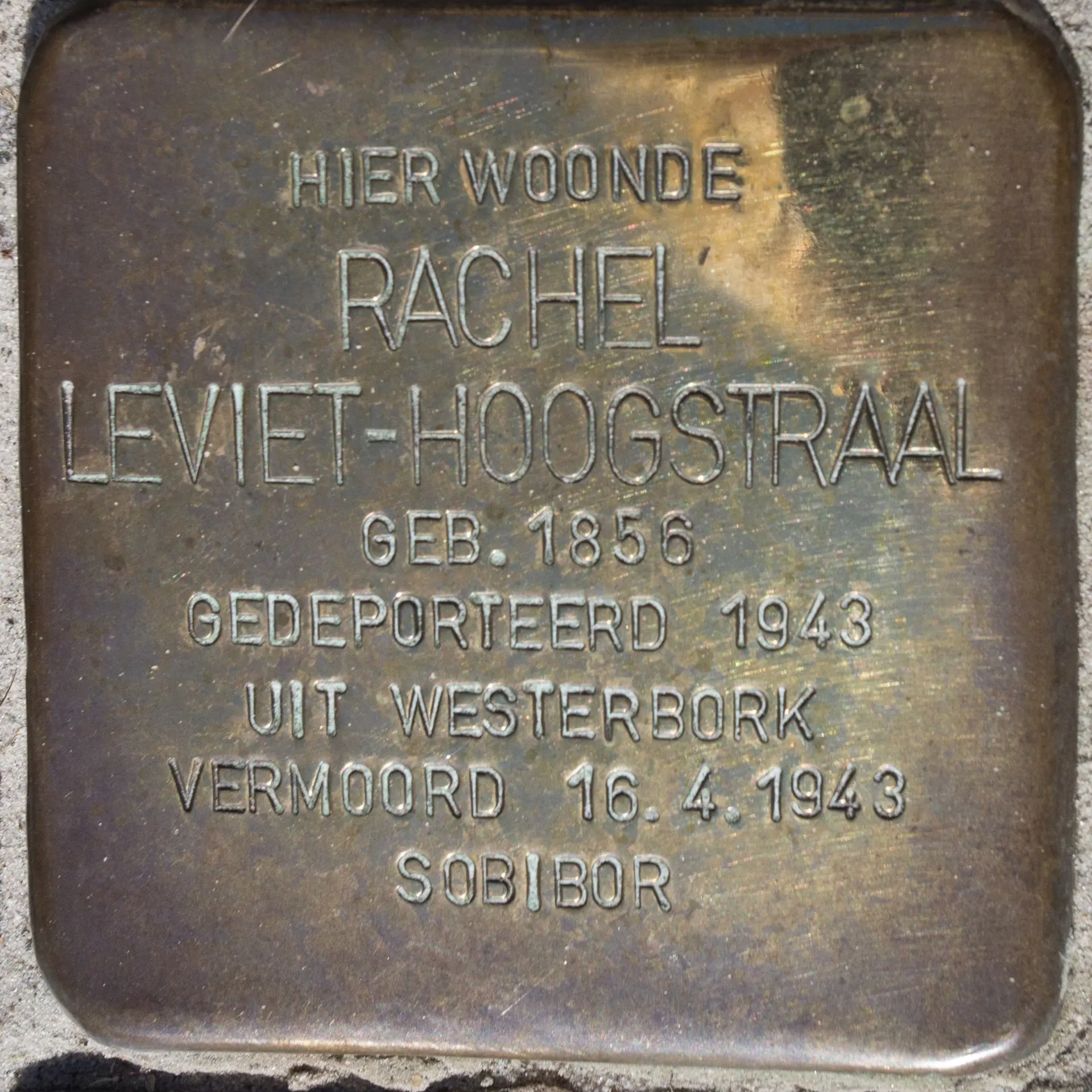 Struikelsteen voor Rachel Leviet-Hoogstraal