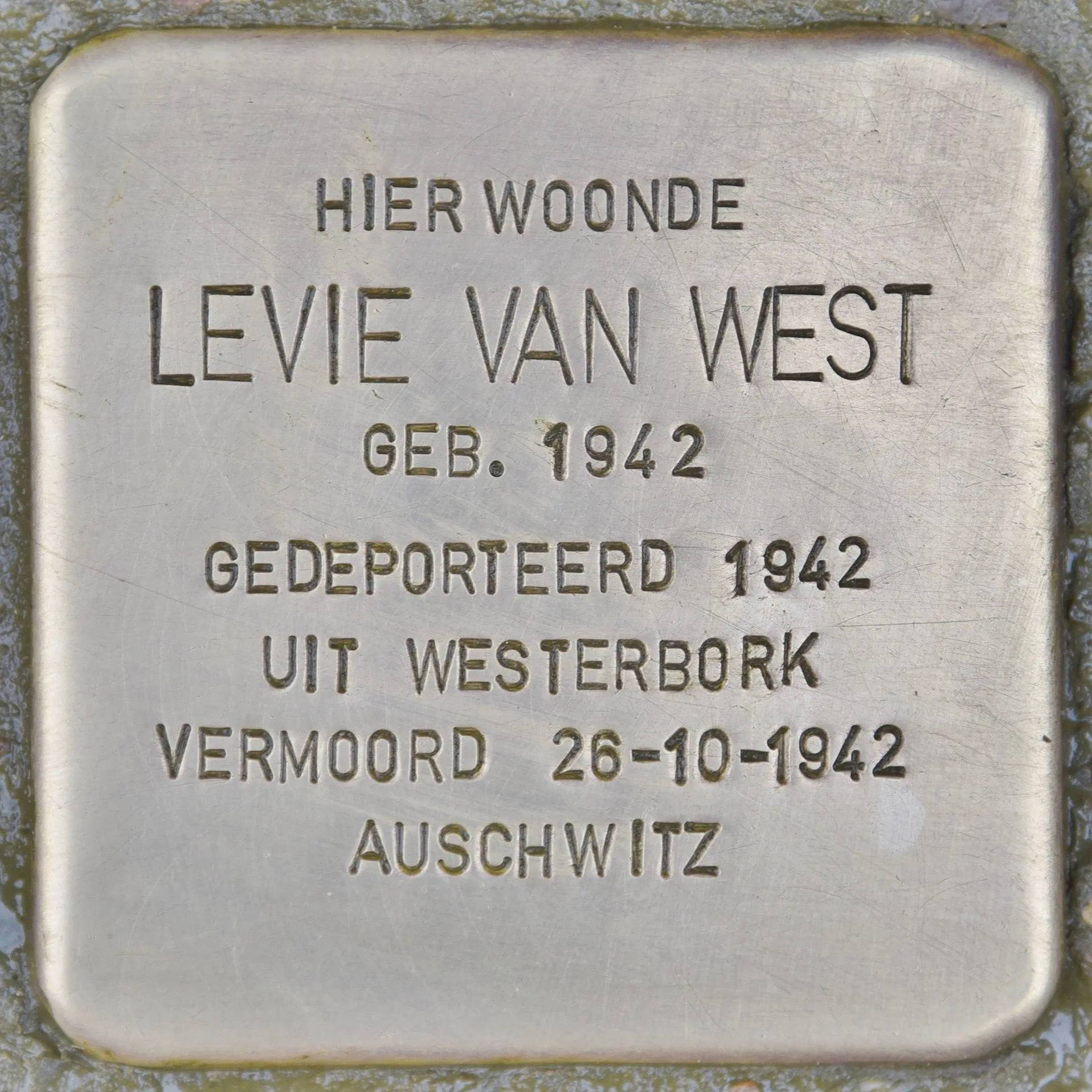 Struikelsteen voor Levie van West