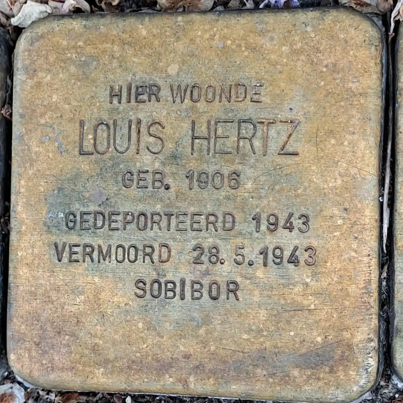 Struikelsteen voor Louis Hertz