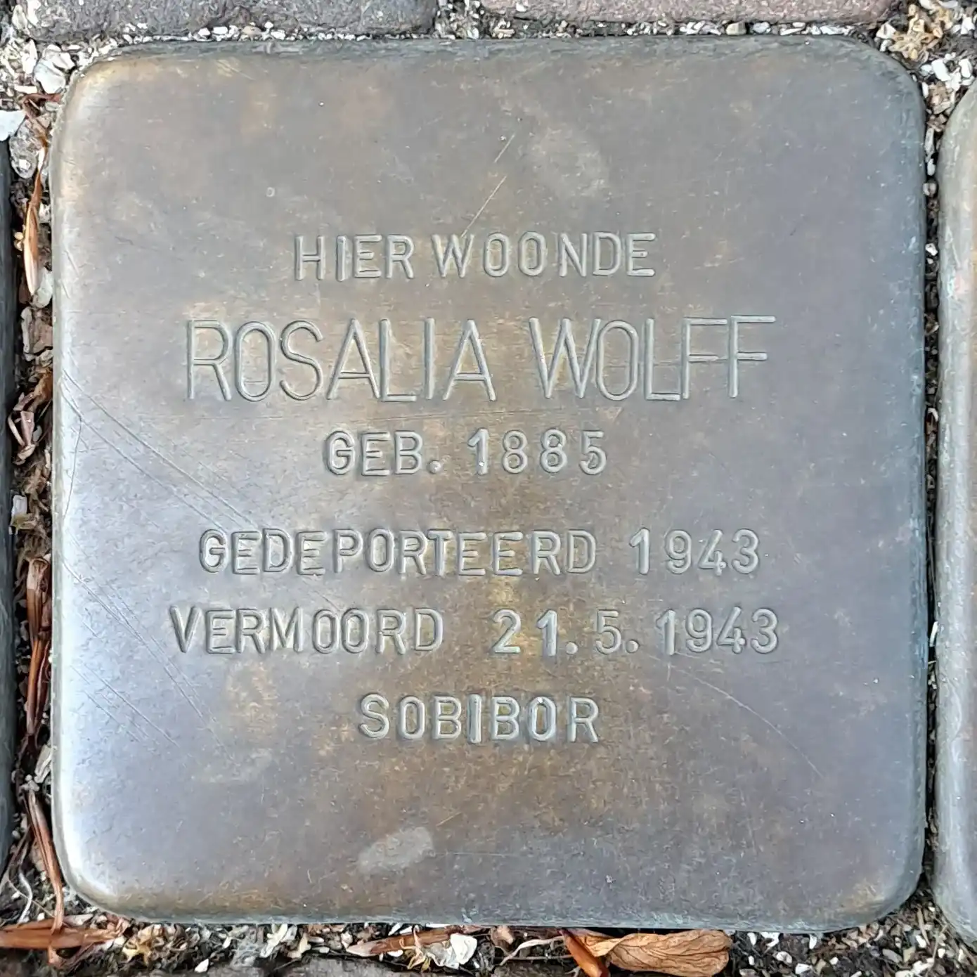 Struikelsteen voor Rosalia Wolff