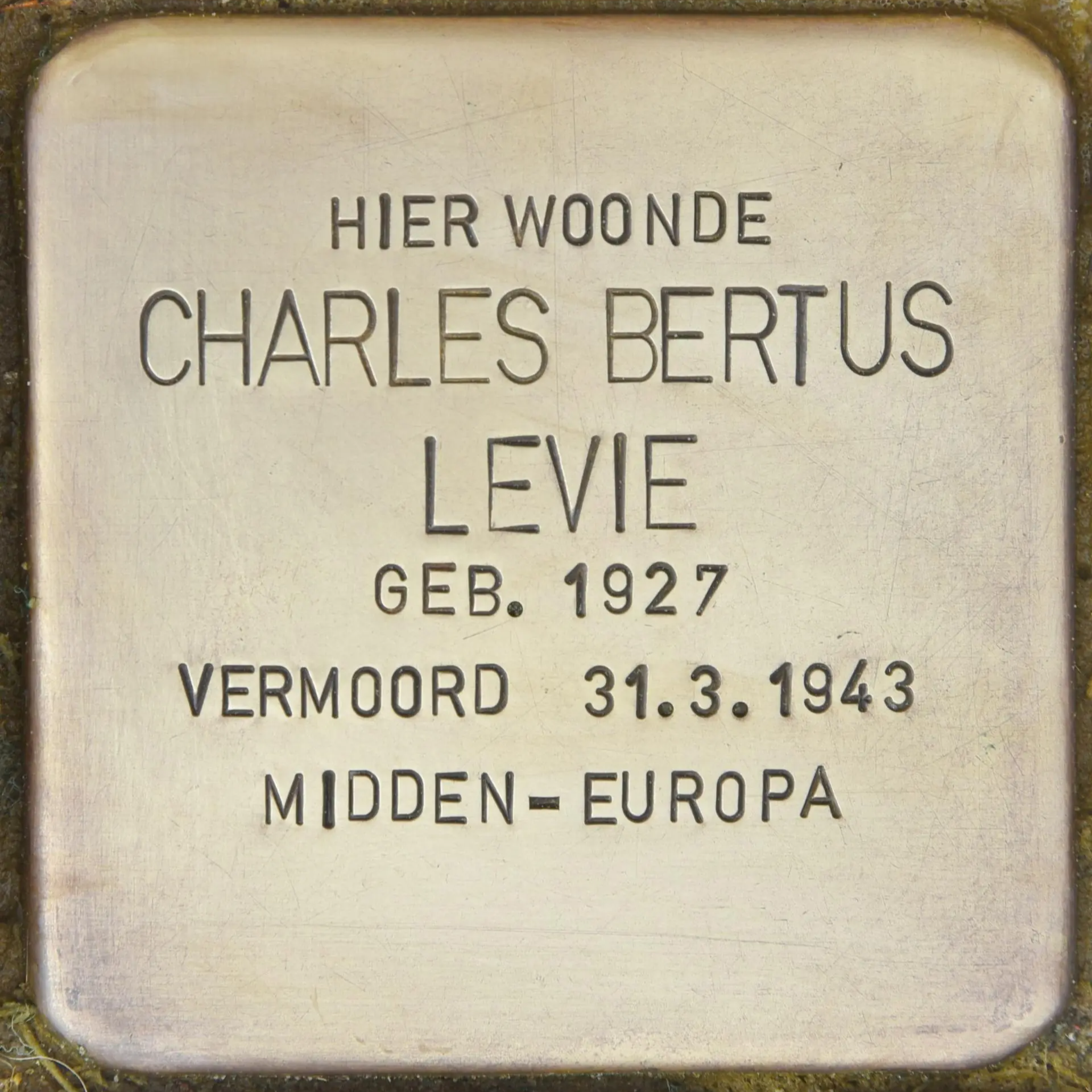 Struikelsteen voor Charles Bertus Levie