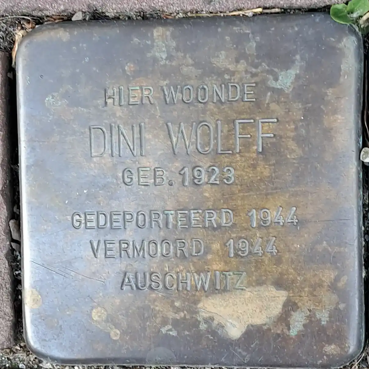 Struikelsteen voor Dini Wolff