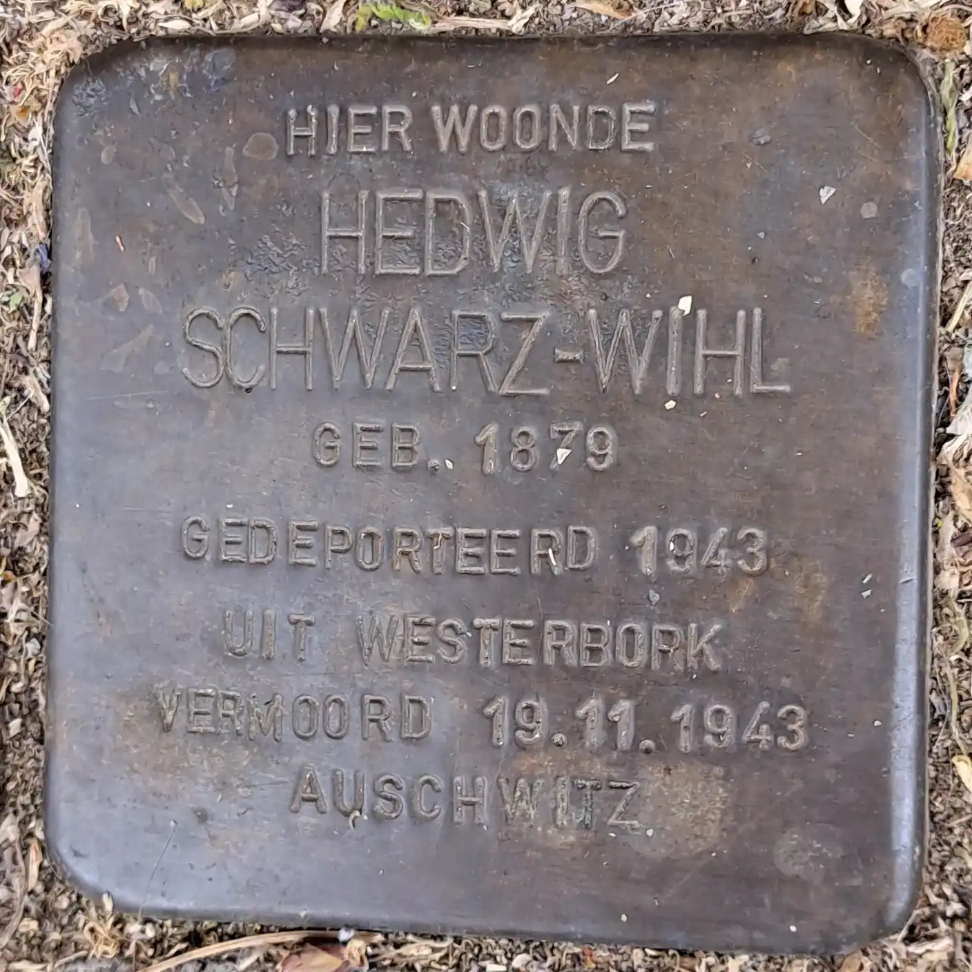 Struikelsteen voor Hedwig Schwarz-Wihl