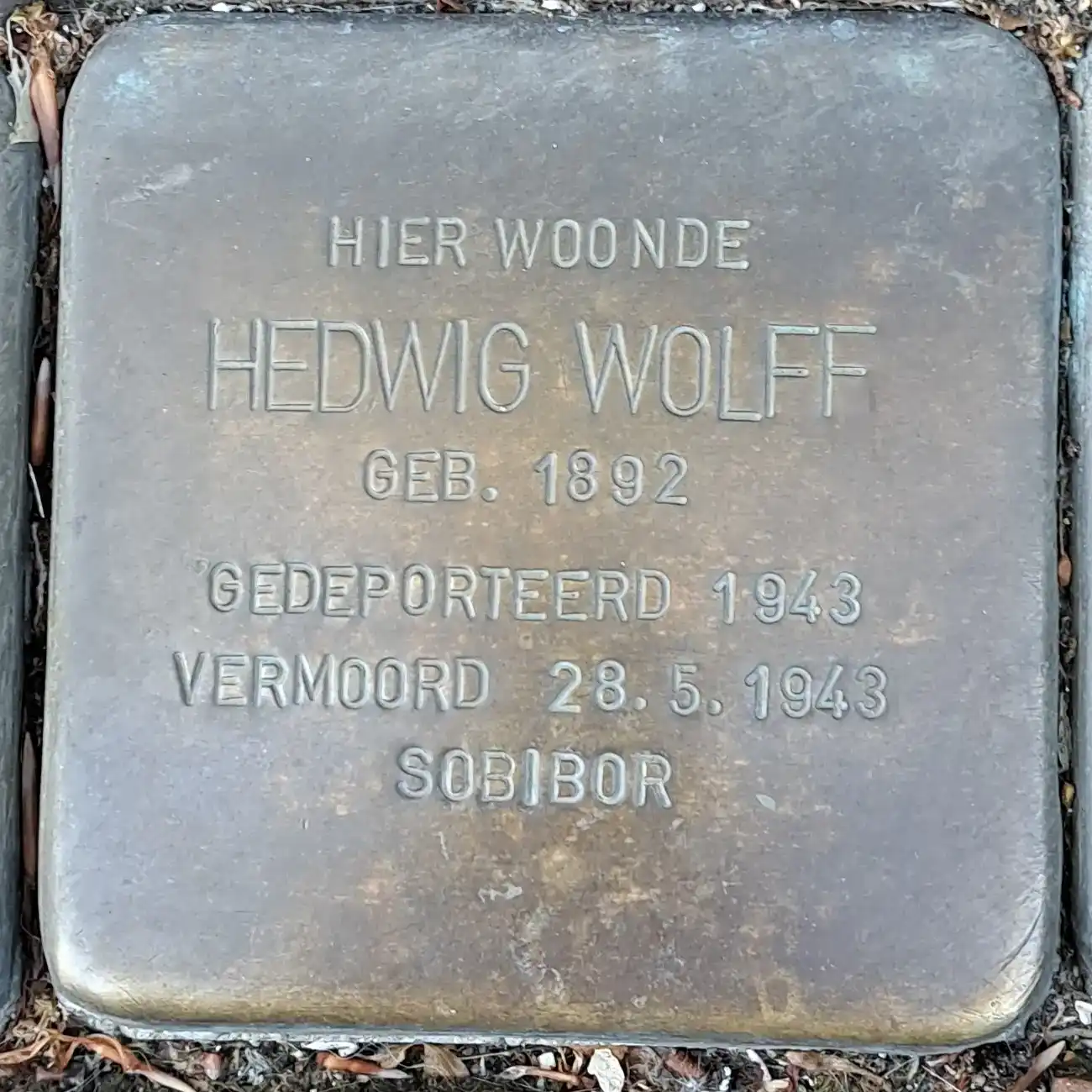 Struikelsteen voor Hedwig Wolff