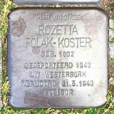 Placeholder