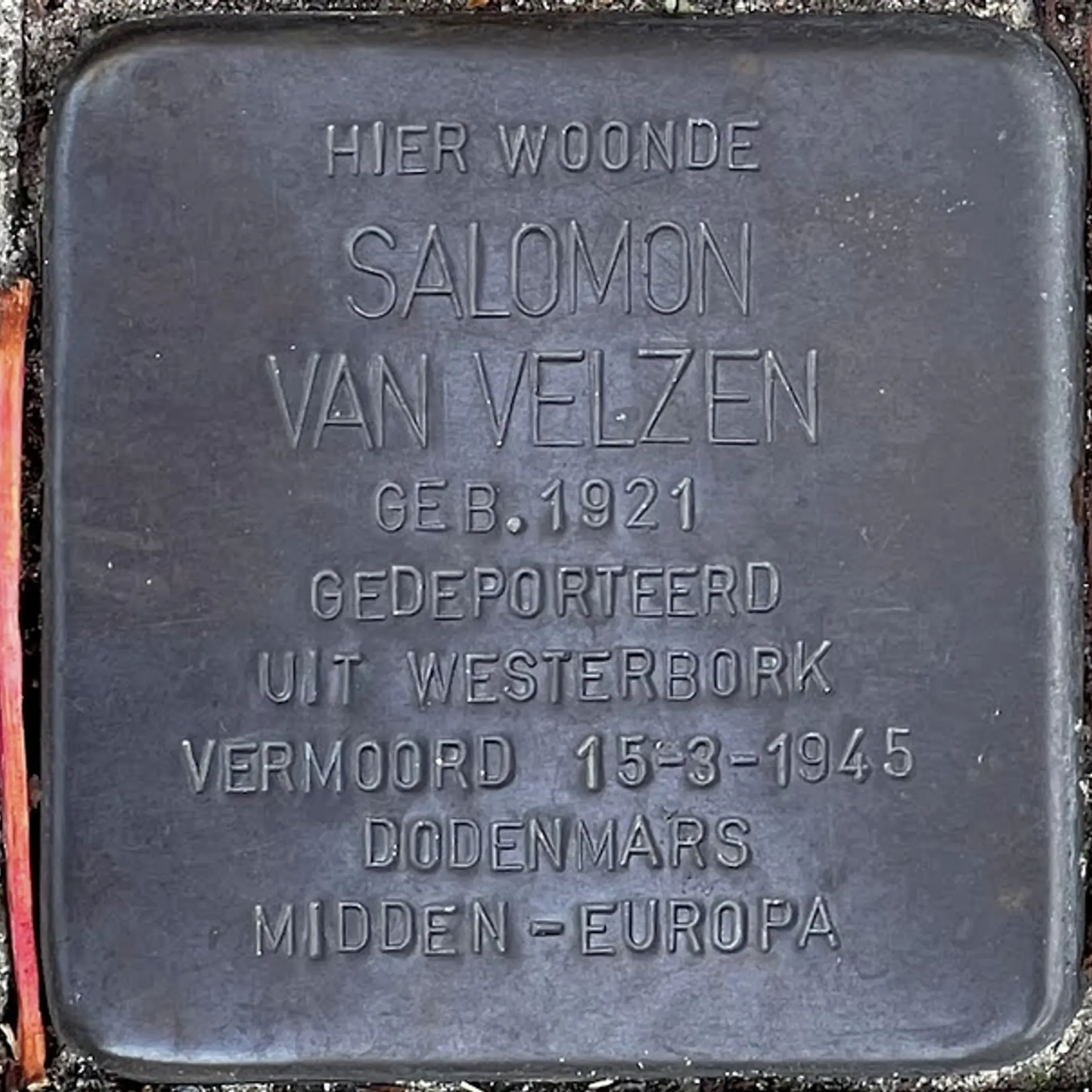 Struikelsteen voor Salomon van Velzen
