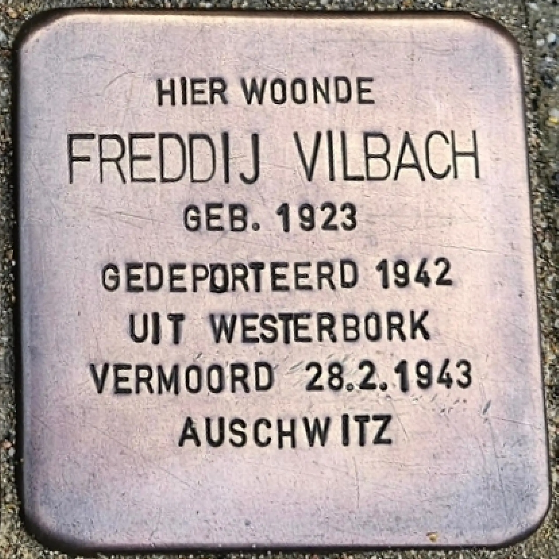 Struikelsteen voor Freddij Vilbach
