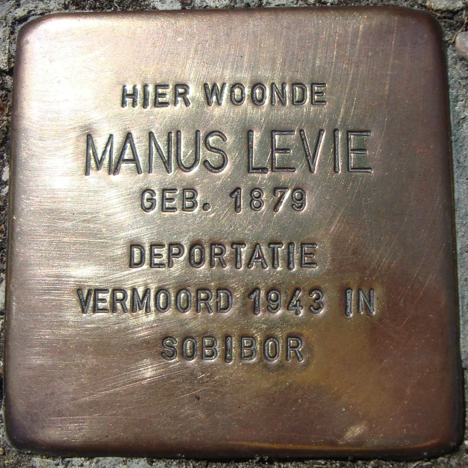 Struikelsteen voor Manus Levie