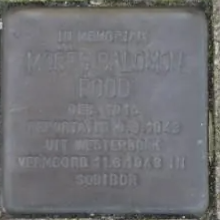 Struikelsteen voor Mozes Salomon Rood