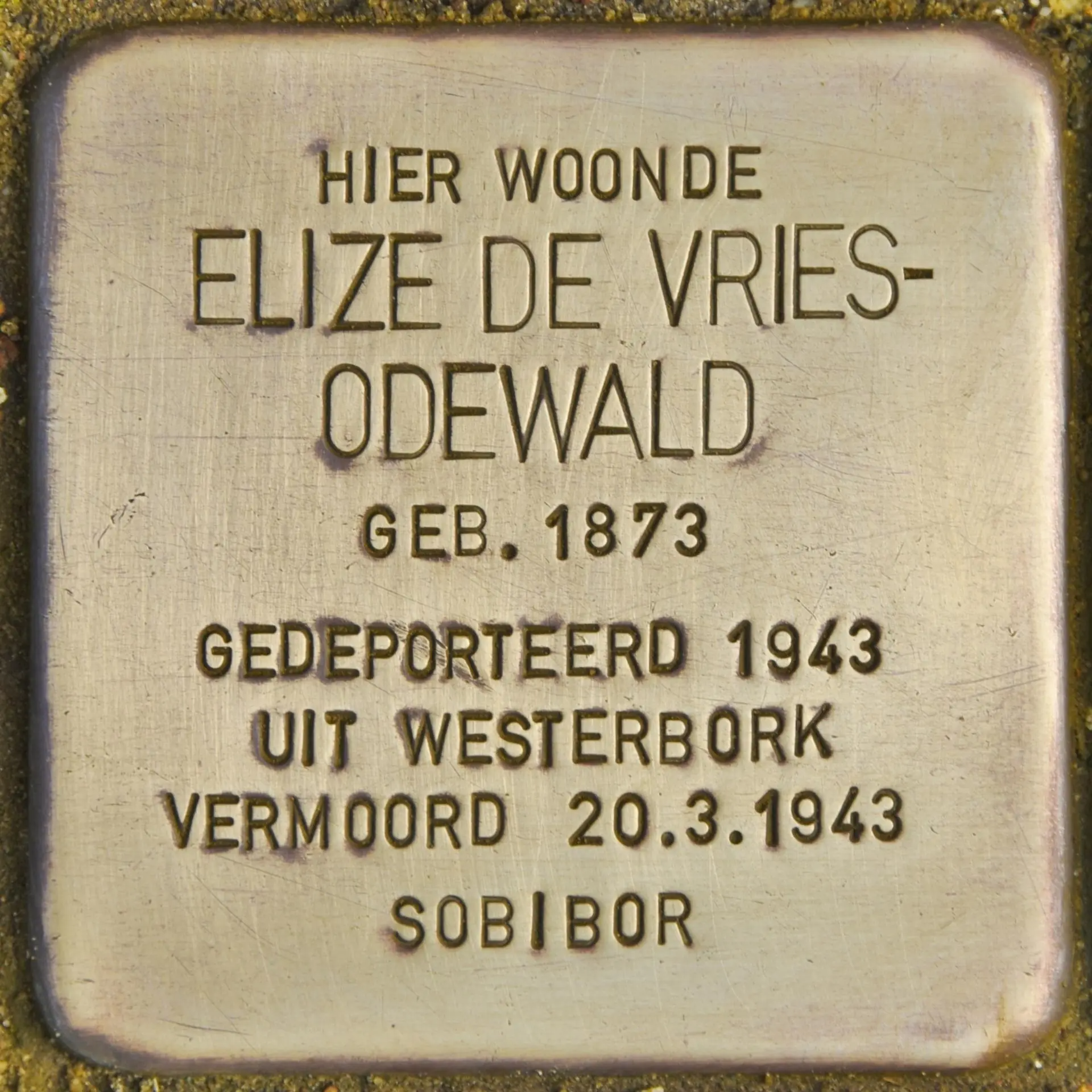 Struikelsteen voor Elize de Vries-Odewald