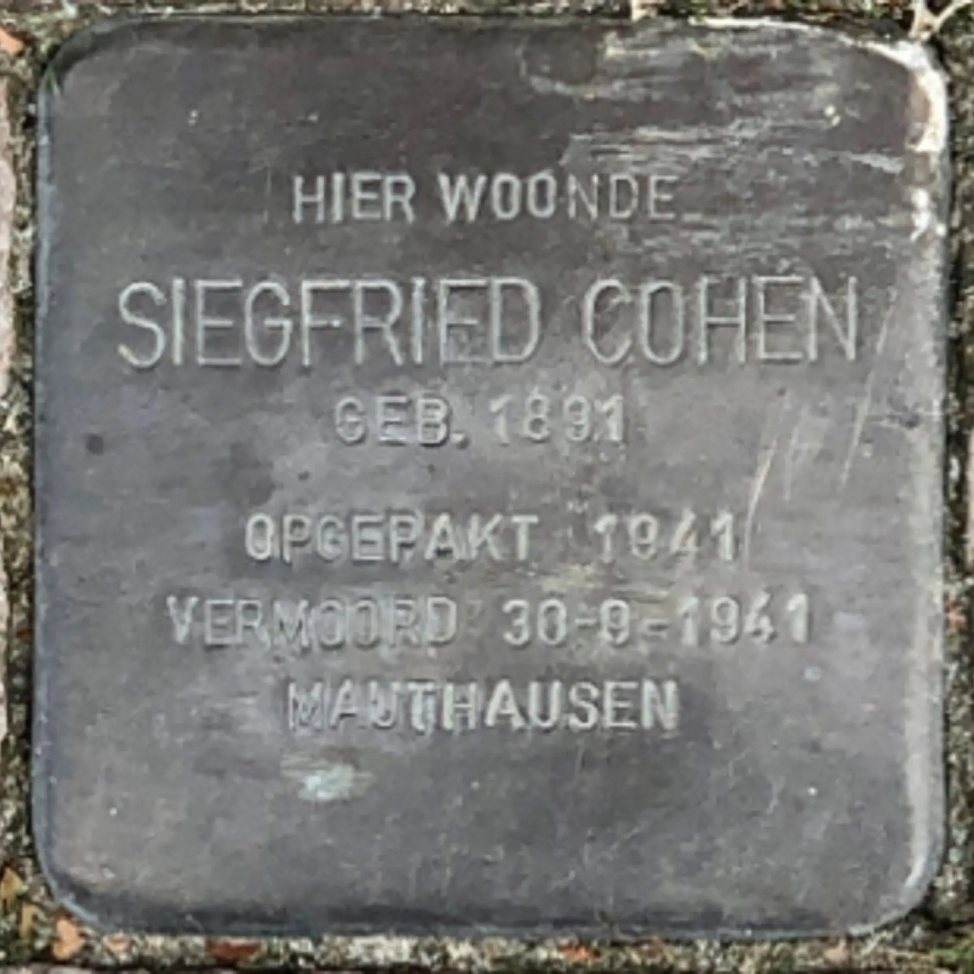 Struikelsteen voor Siegfried Cohen