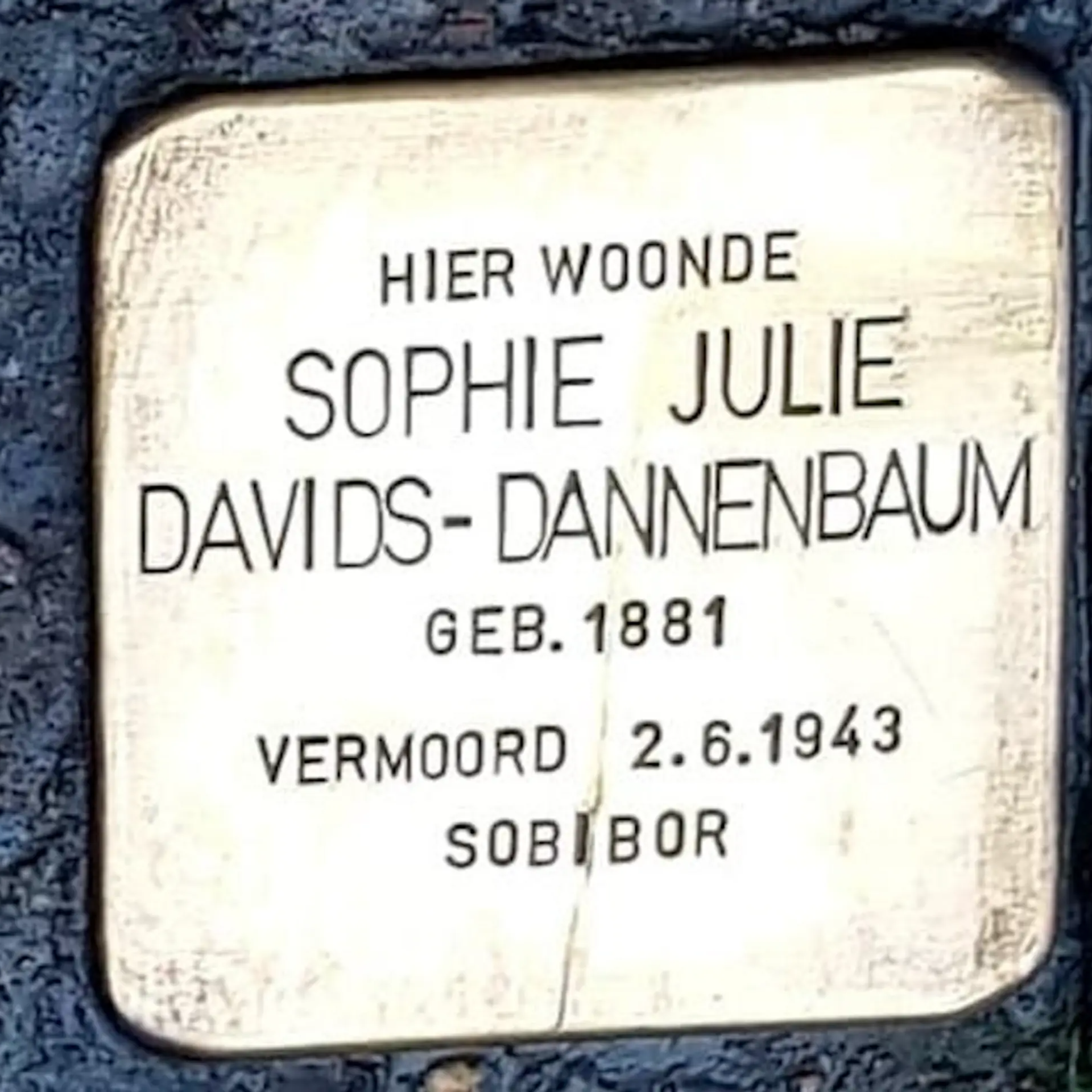 Struikelsteen voor Sophie Julie Davids-Dannenbaum