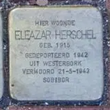 Struikelsteen voor Eleazer Herschel