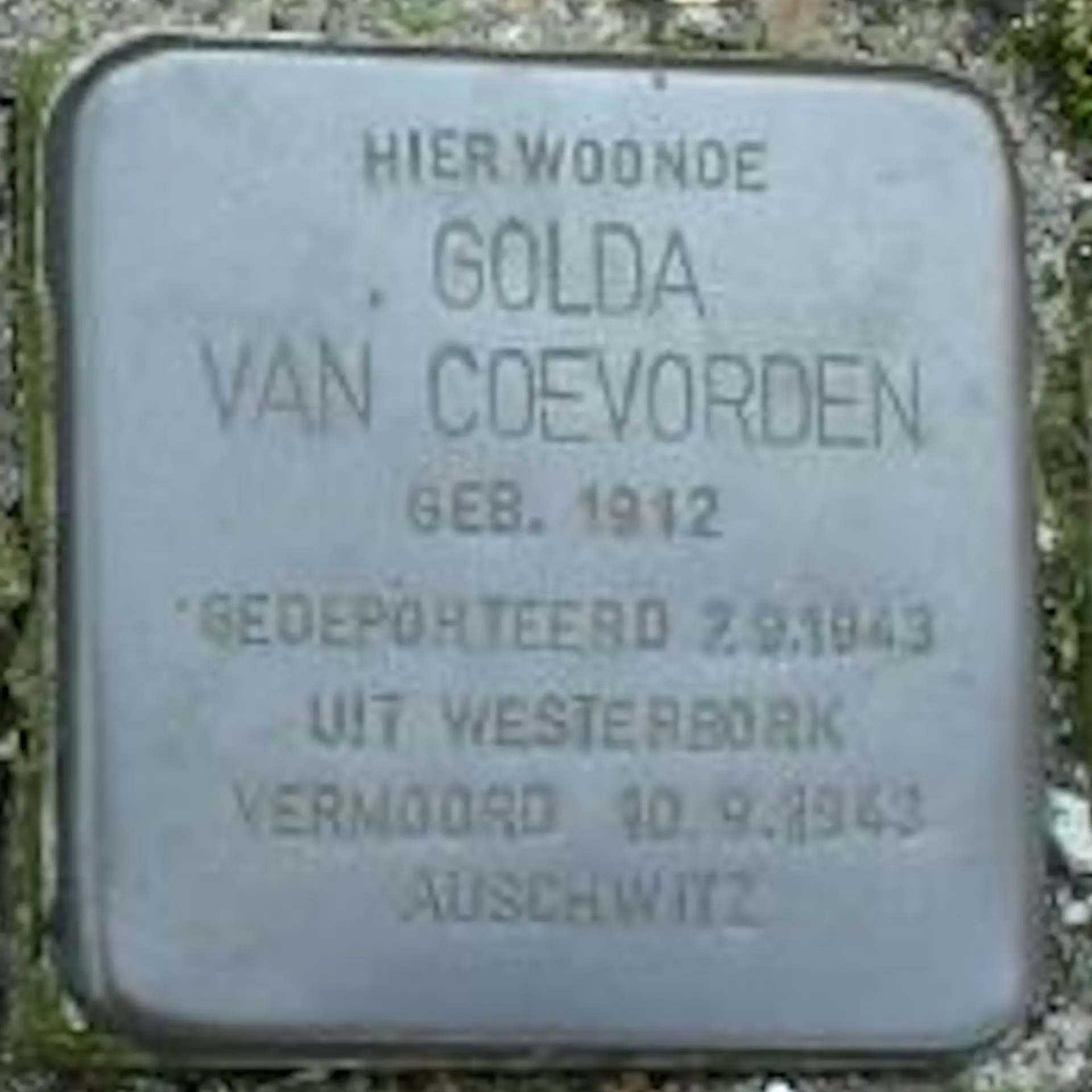 Struikelsteen voor Golda van Dam-van Coevorden