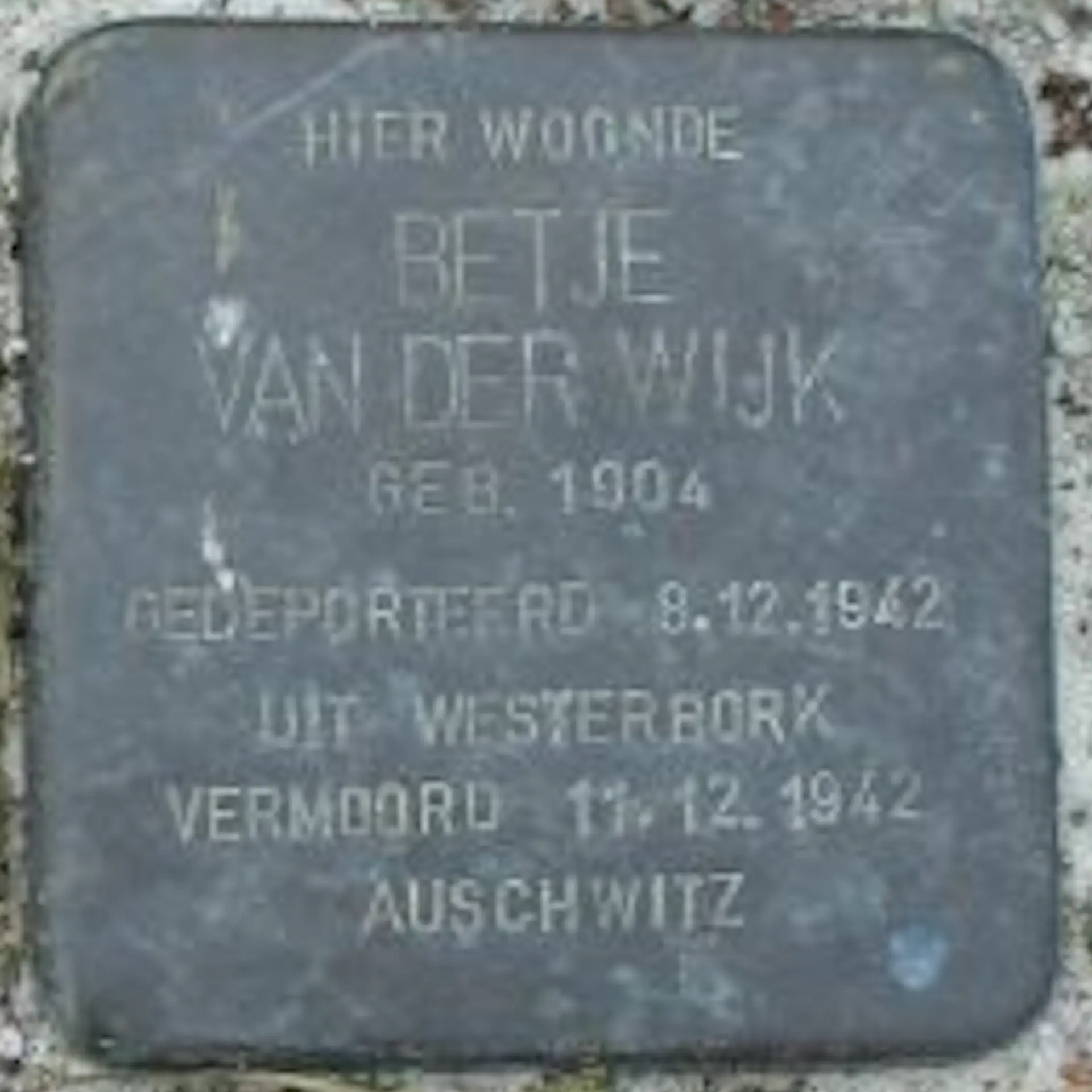 Struikelsteen voor Betje Levij-van der Wijk