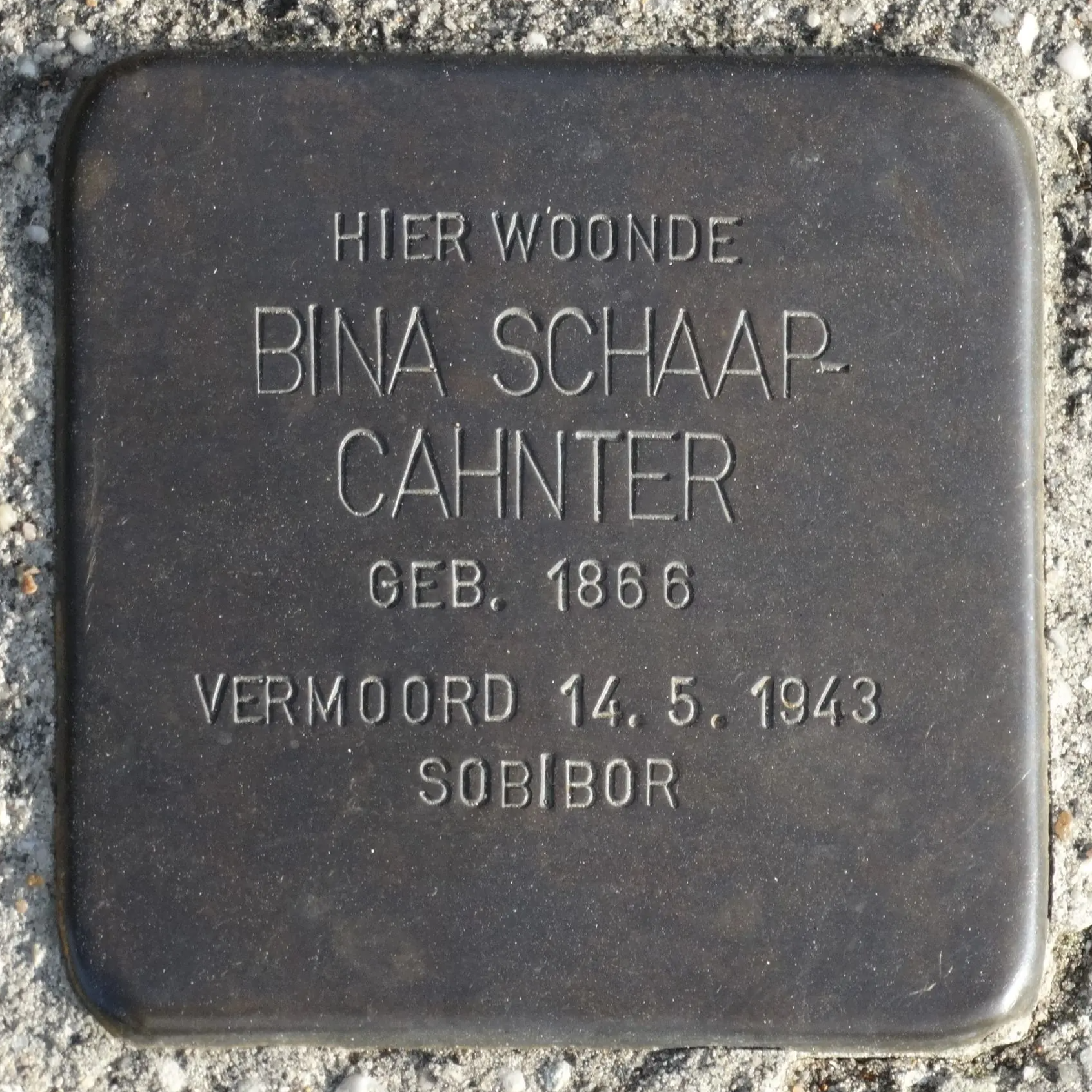 Struikelsteen voor Bina Schaap-Canther