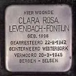 Struikelsteen voor Clara Rosa Levenbach-Fontijn