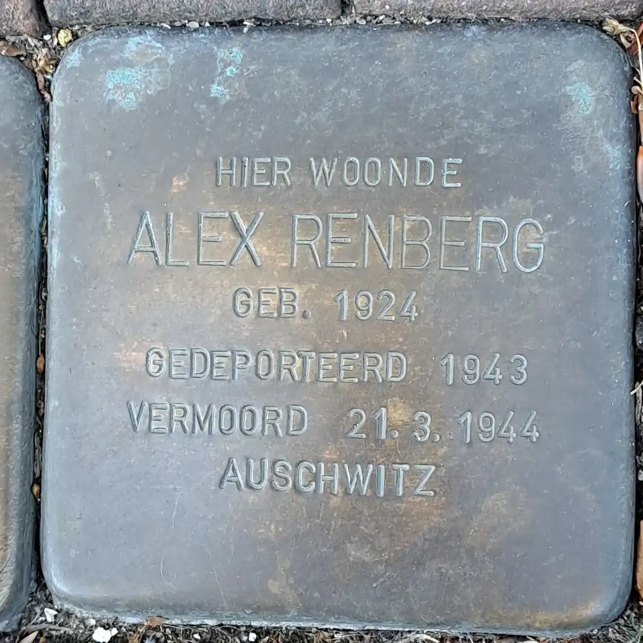 Struikelsteen voor Alex Renberg