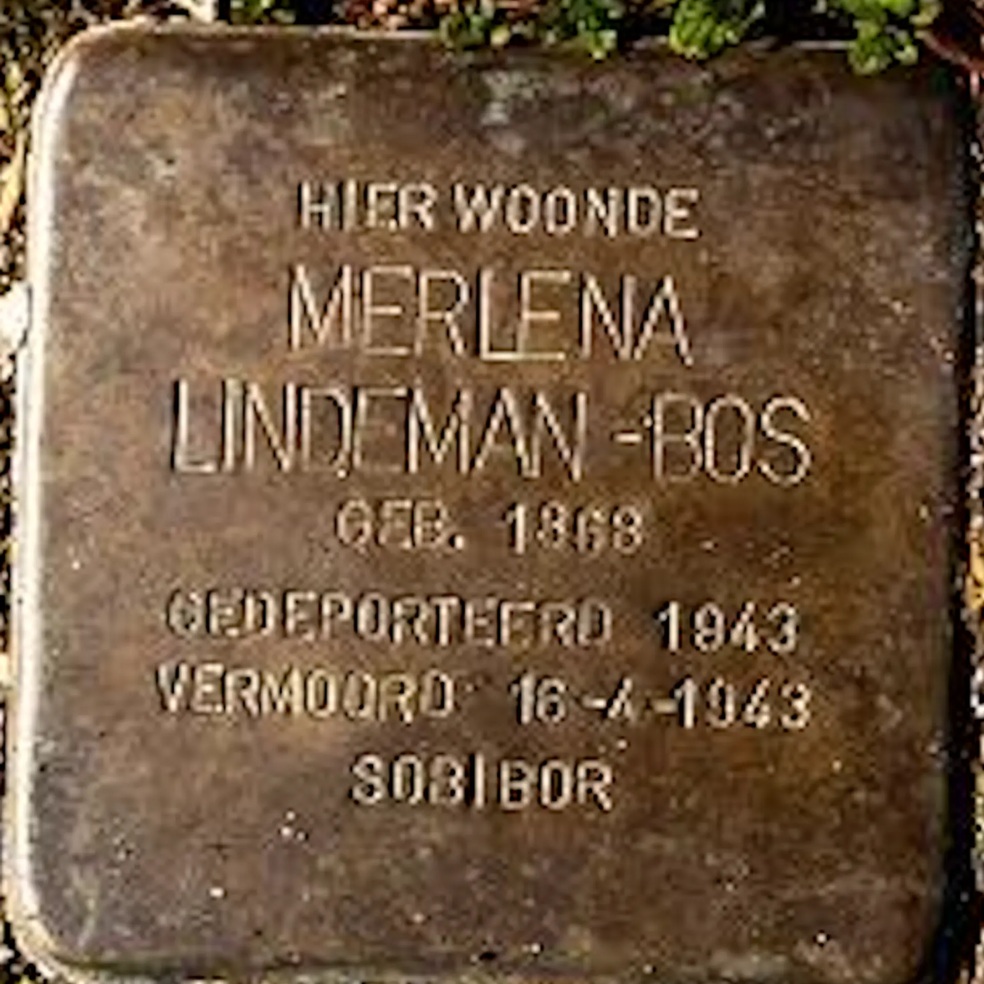 Struikelsteen voor Merlena Lindeman-Bos