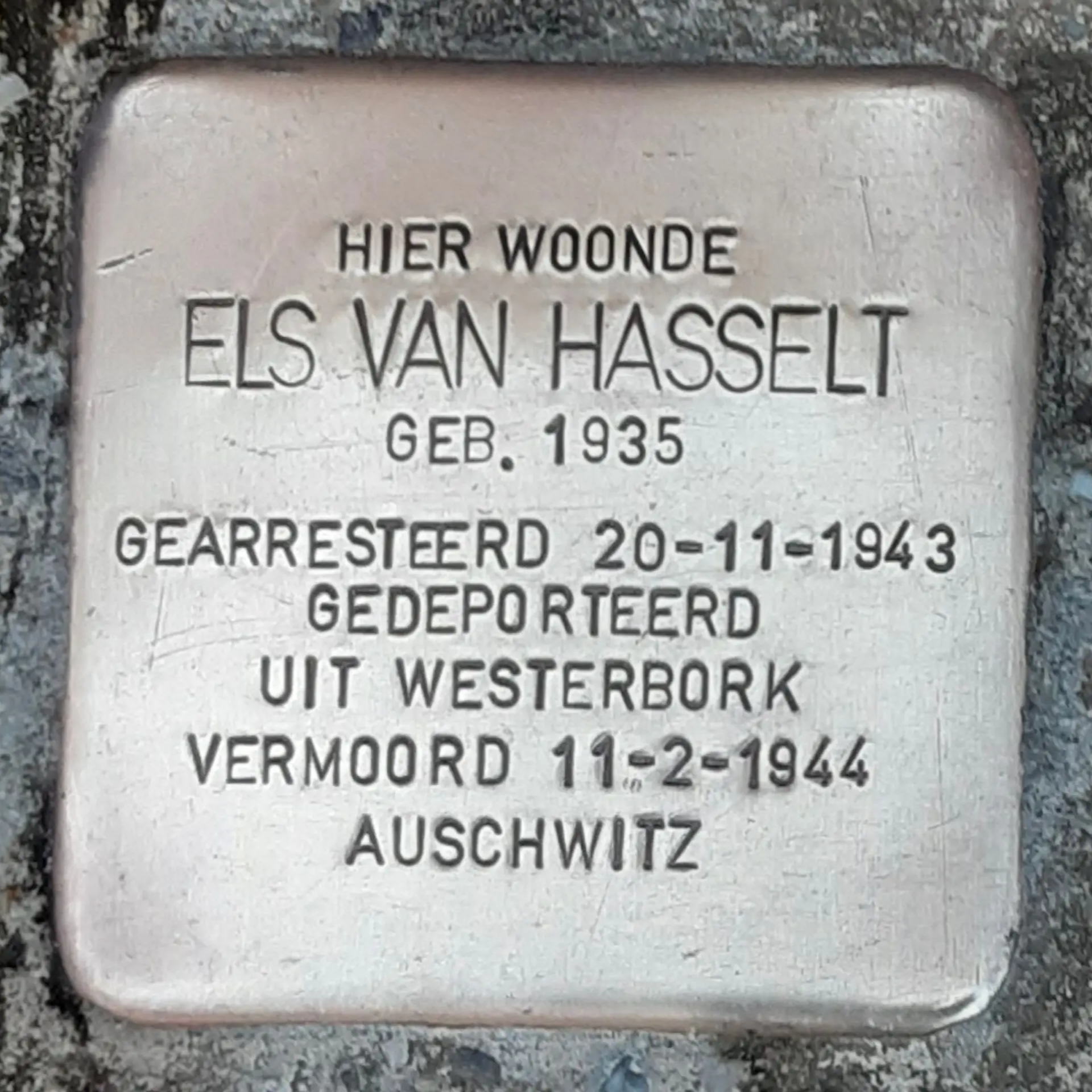 Struikelsteen voor Els van Hasselt
