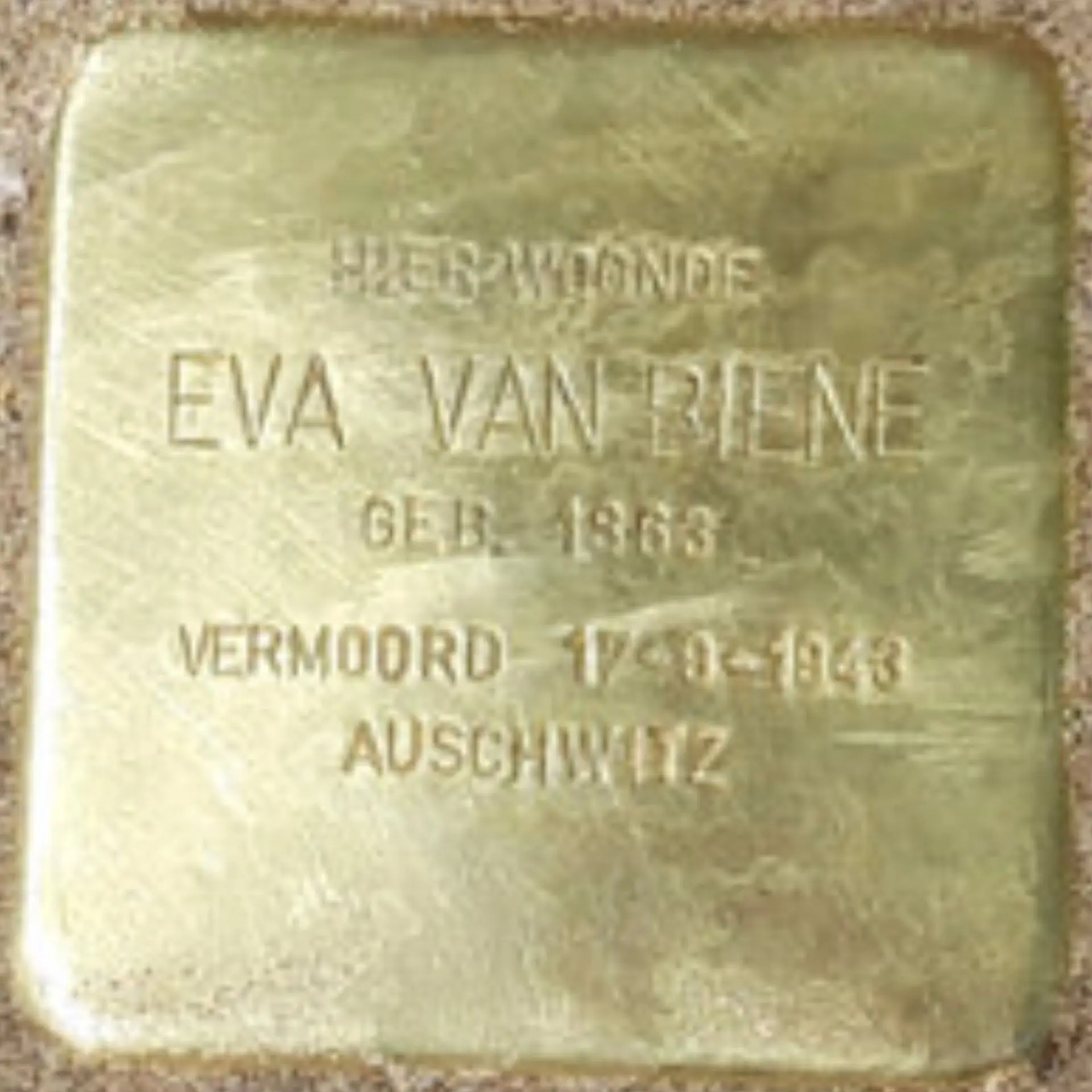 Struikelsteen voor Eva van Biene