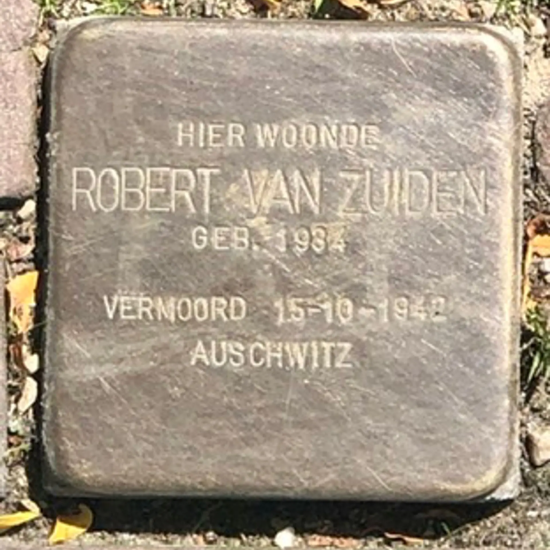 Struikelsteen voor Robert van Zuiden