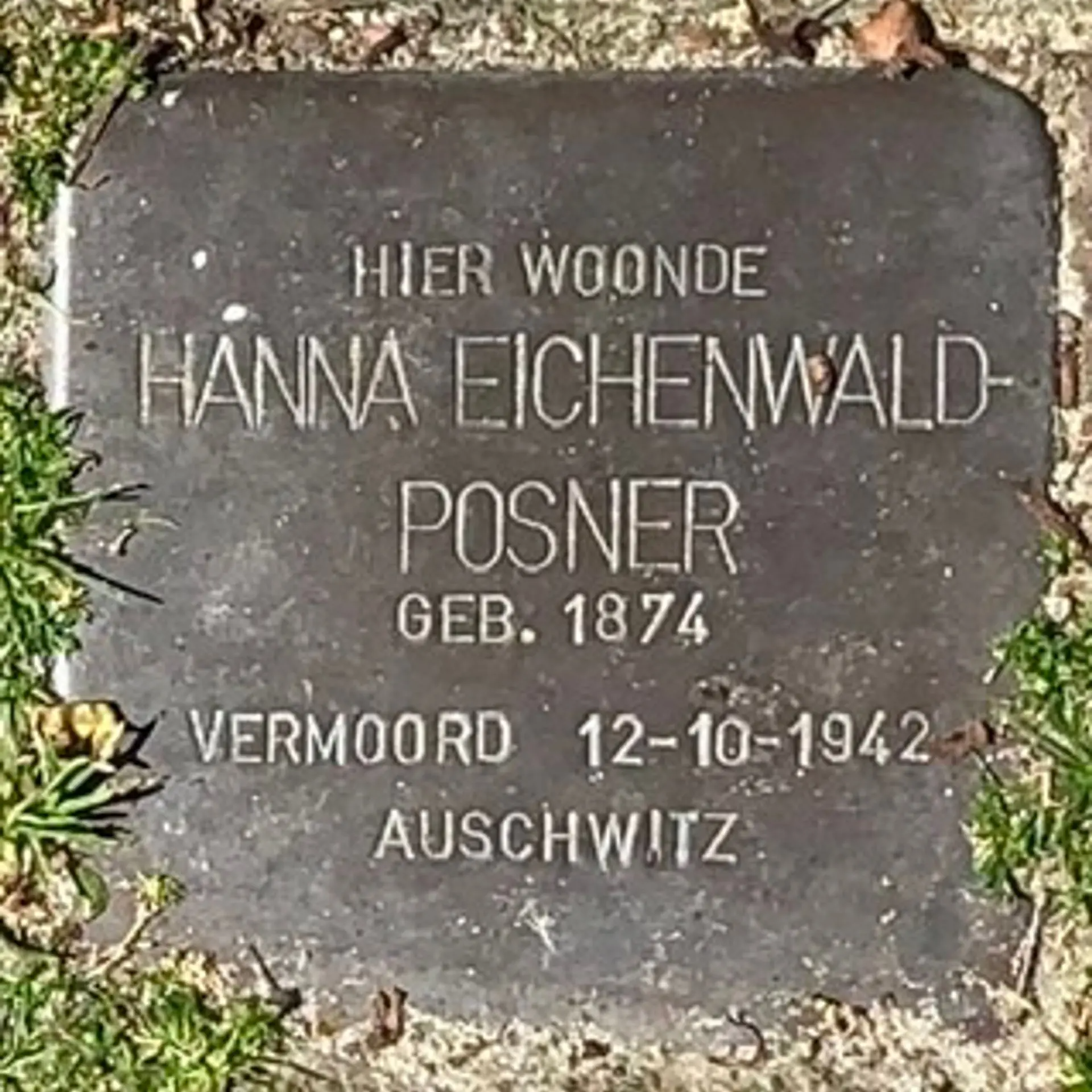 Struikelsteen voor Hanna Eichenwald-Posner