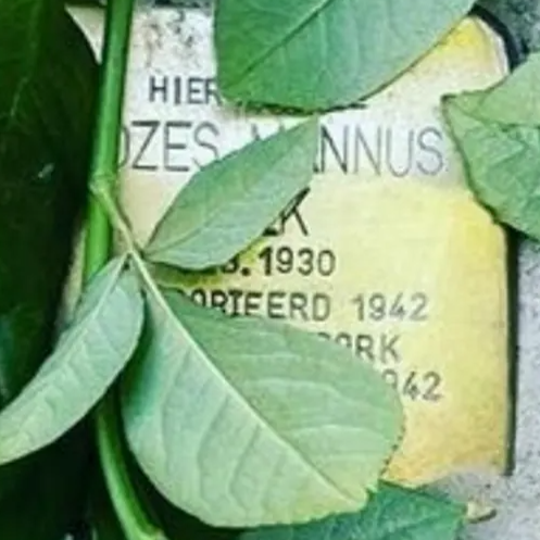 Struikelsteen voor Mozes Mannes Valk