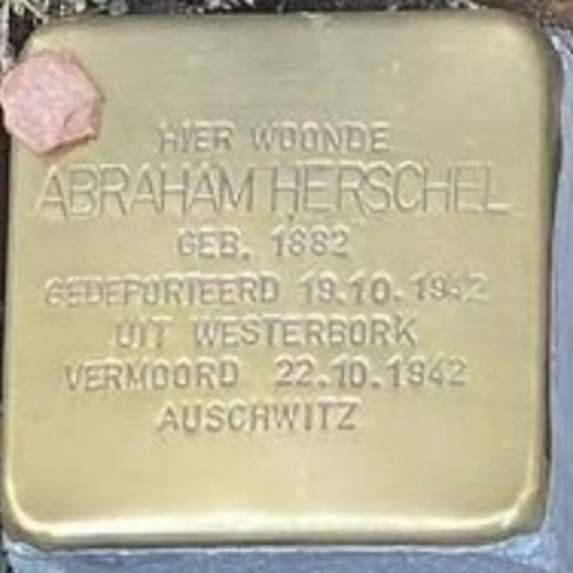Struikelsteen voor Abraham Herschel