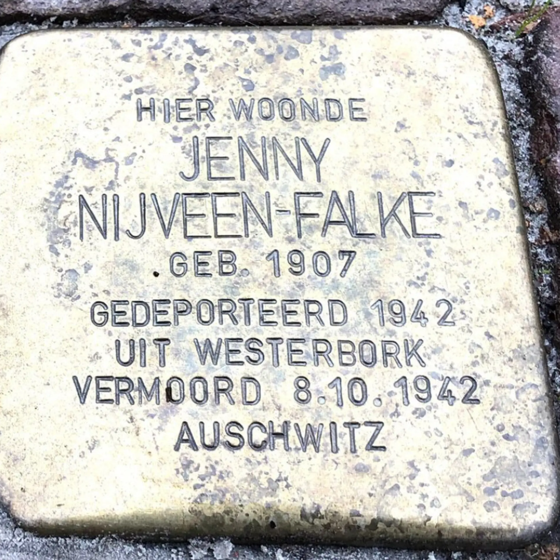 Struikelsteen voor Jenny Nijveen-Falke