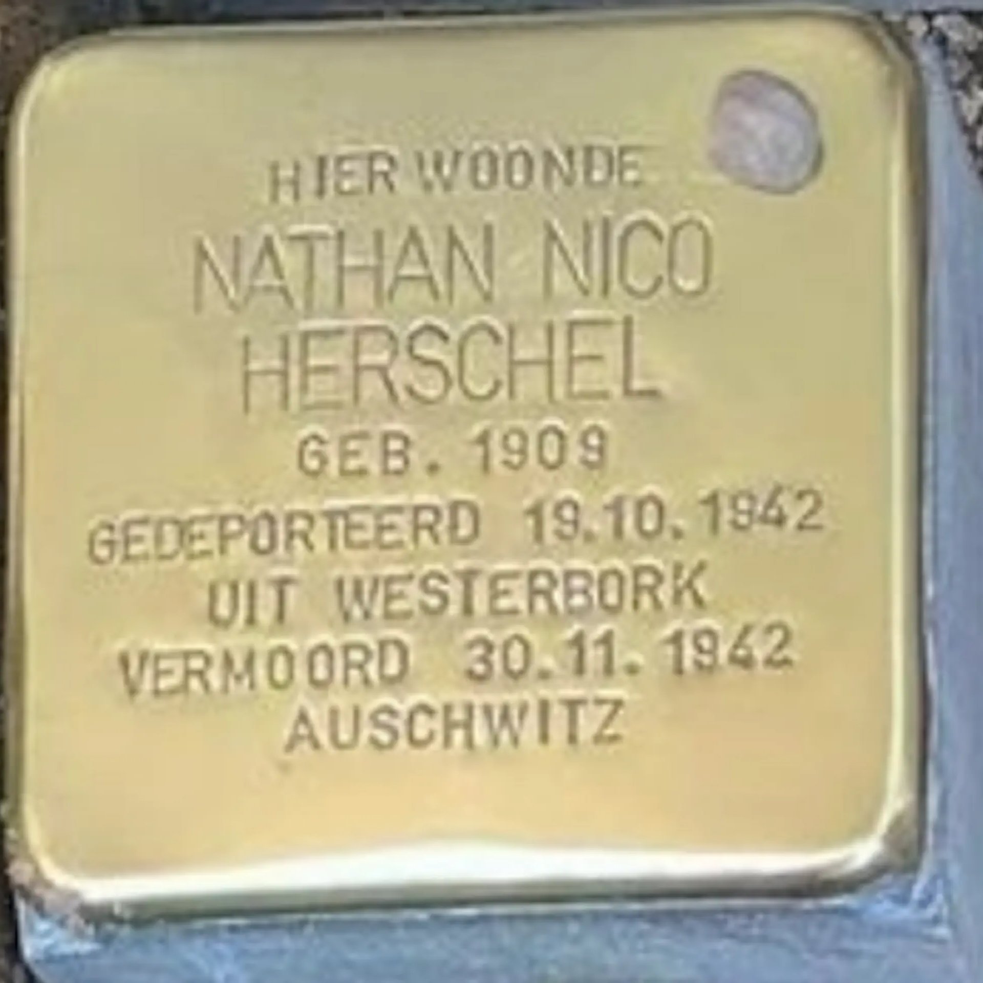 Struikelsteen voor Nathan Nico Herschel