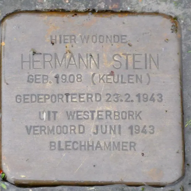 Struikelsteen voor Hermann Stein