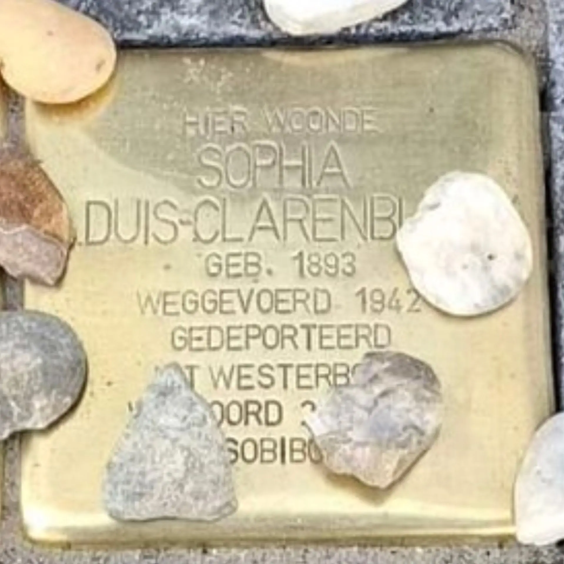 Struikelsteen voor Sophia Duis-Clarenburg