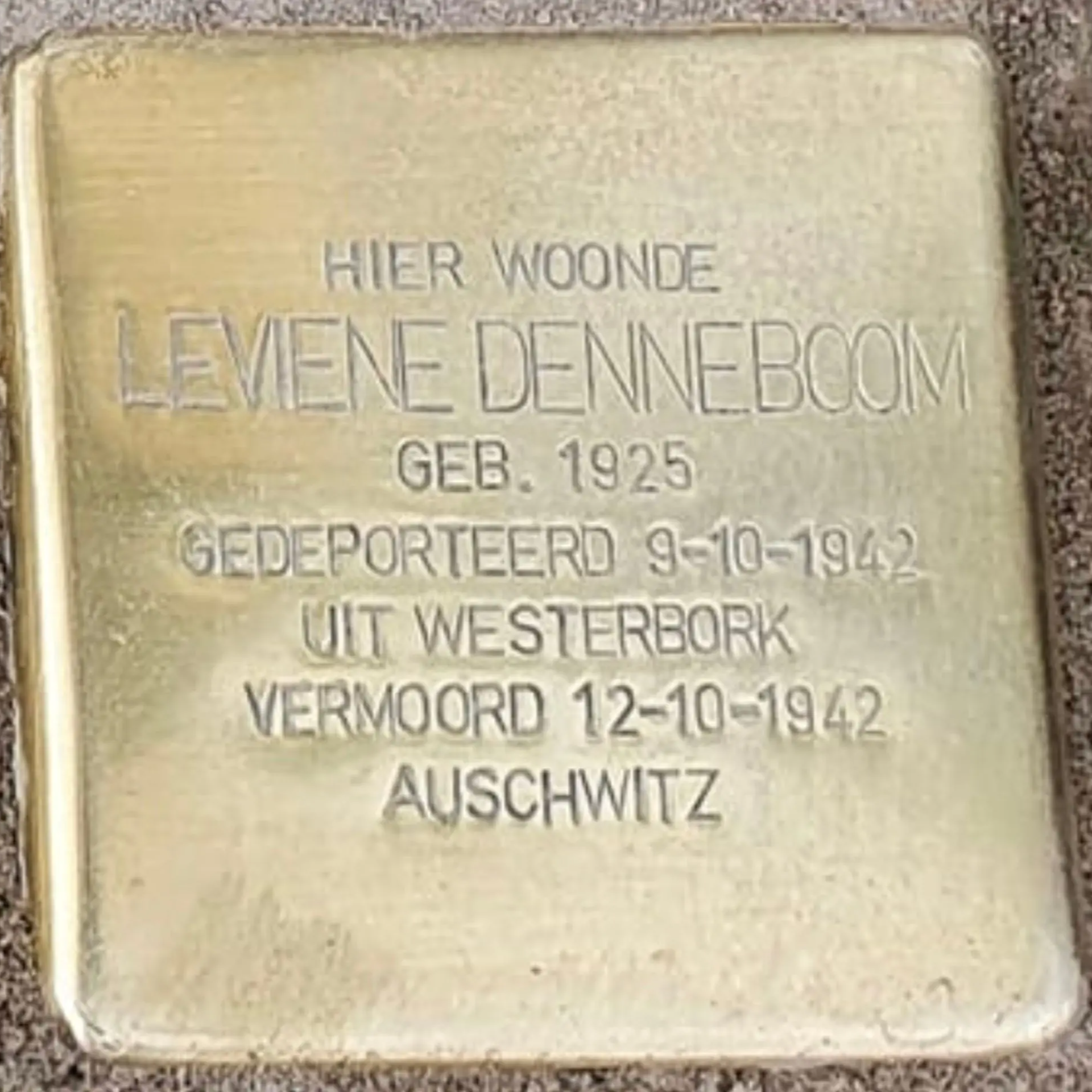 Struikelsteen voor Leviene Denneboom