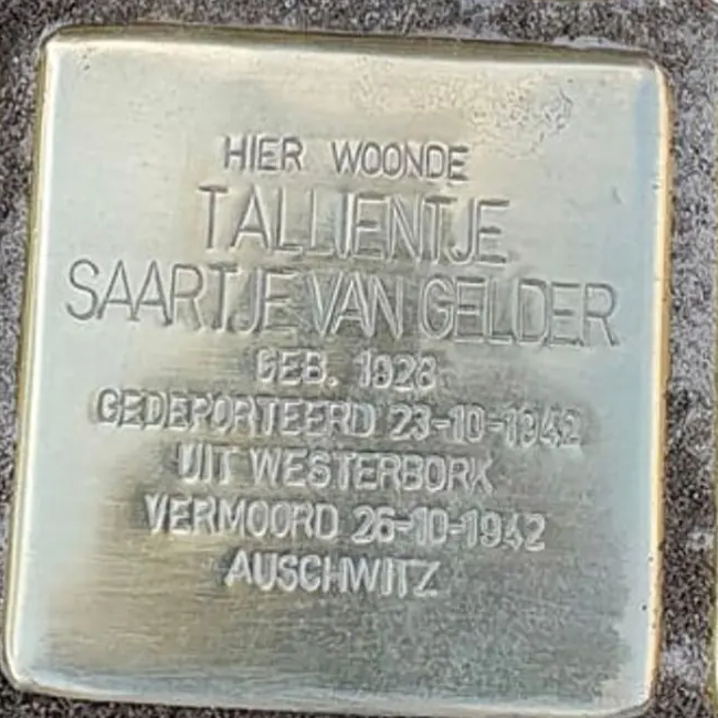 Struikelsteen voor Tallientje Saartje van Gelder