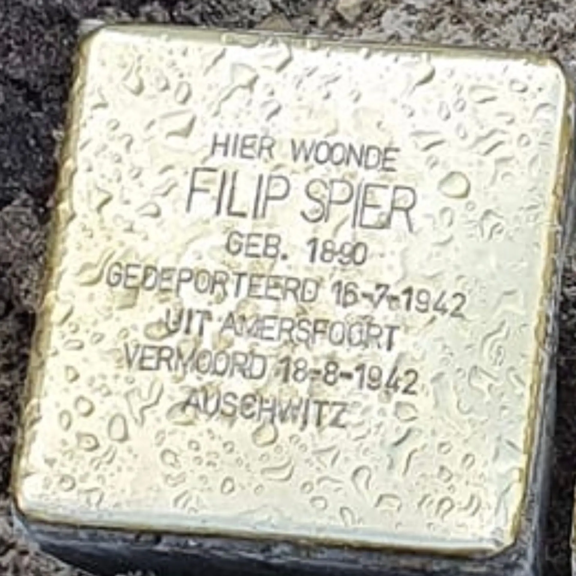 Struikelsteen voor Filip Spier