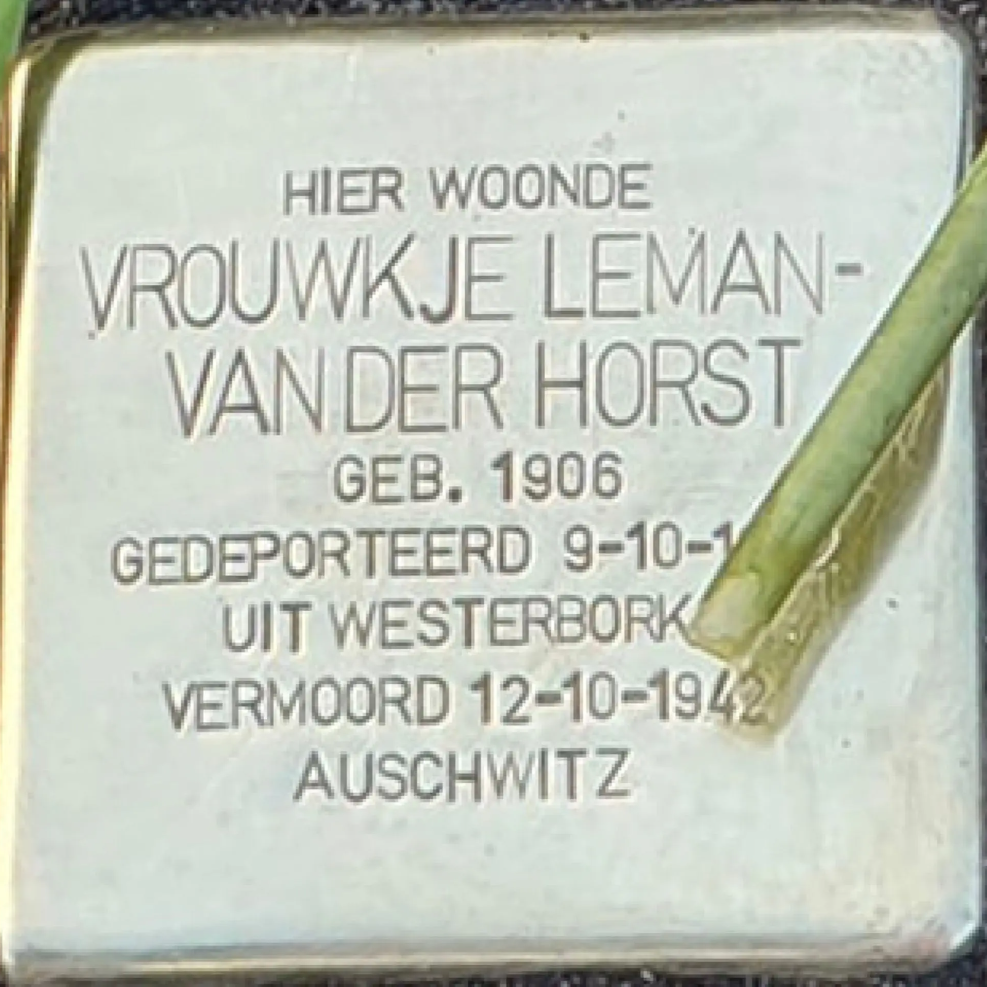 Struikelsteen voor Vrouwkje Leman-van der Horst