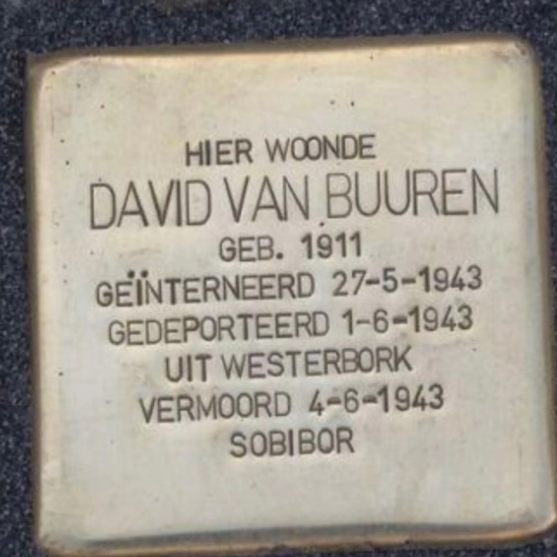 Struikelsteen voor David van Buuren