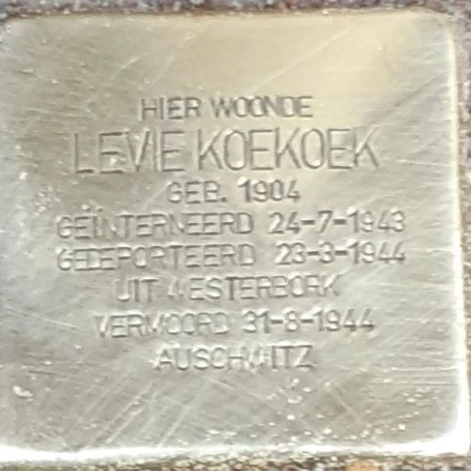 Struikelsteen voor Levie Koekoek