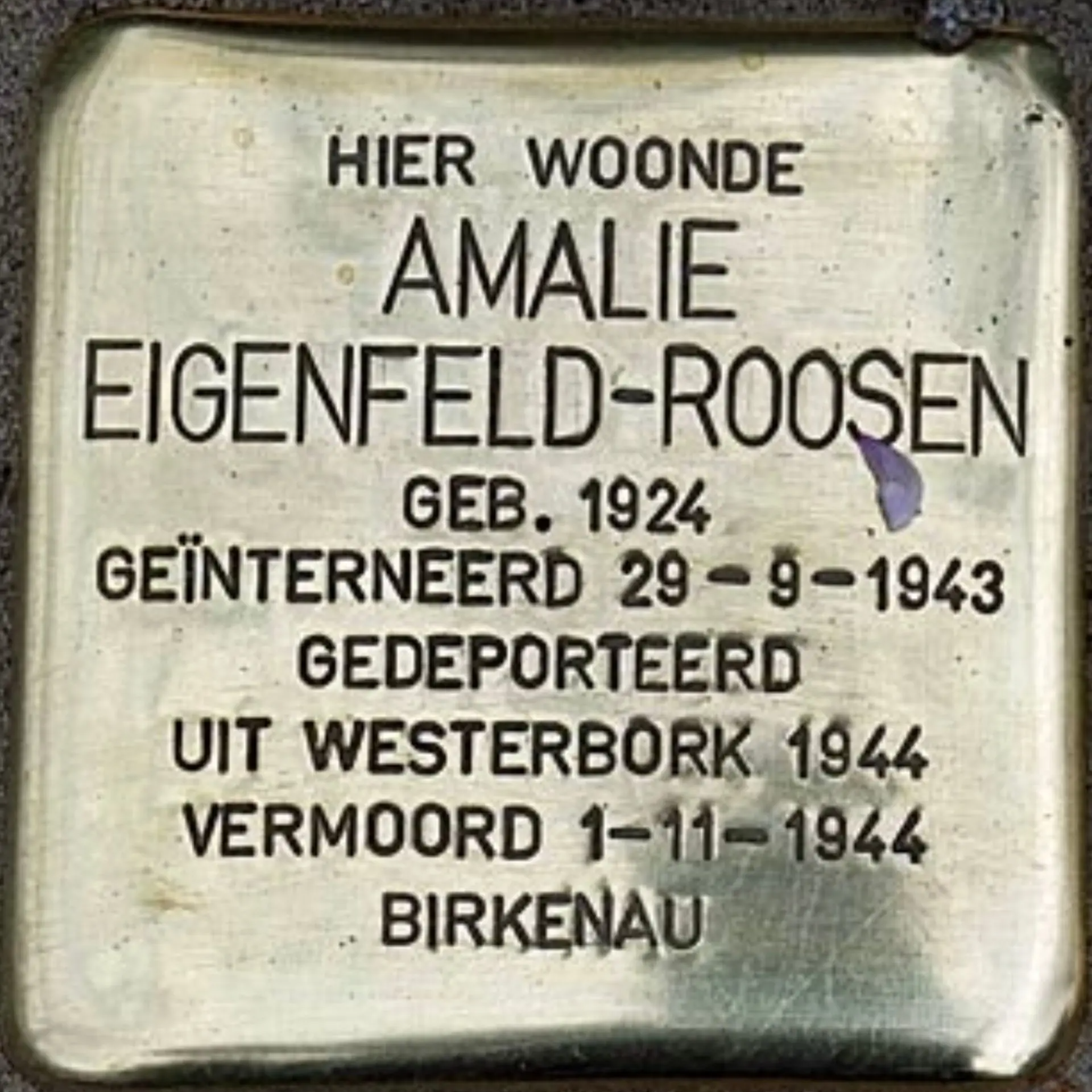 Struikelsteen voor Amalie Marga Eigenfeld-Roosen