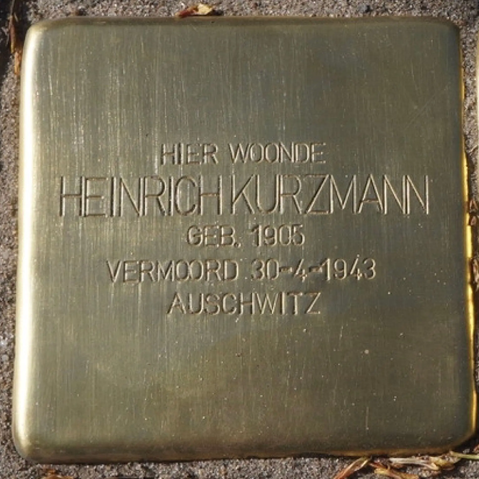 Struikelsteen voor Heinrich Kurzmann