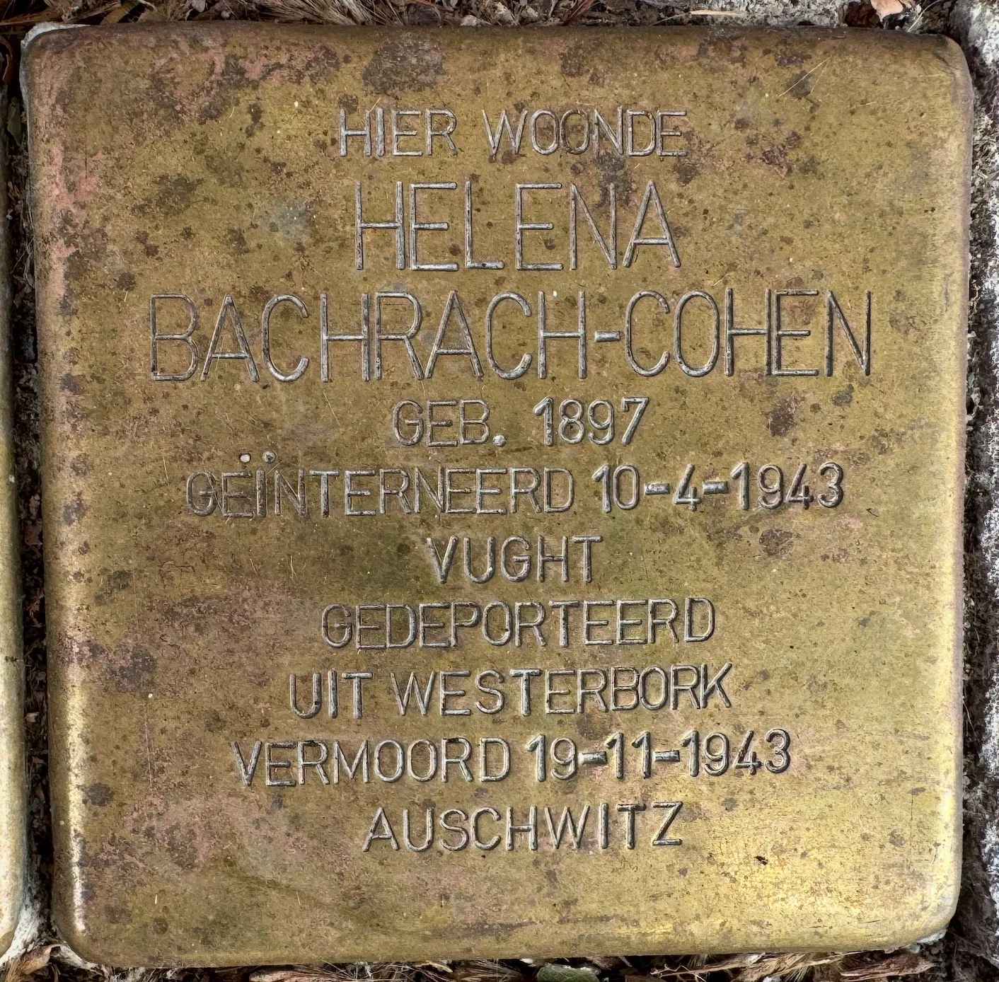 Struikelsteen voor Helena Bachrach-Cohen