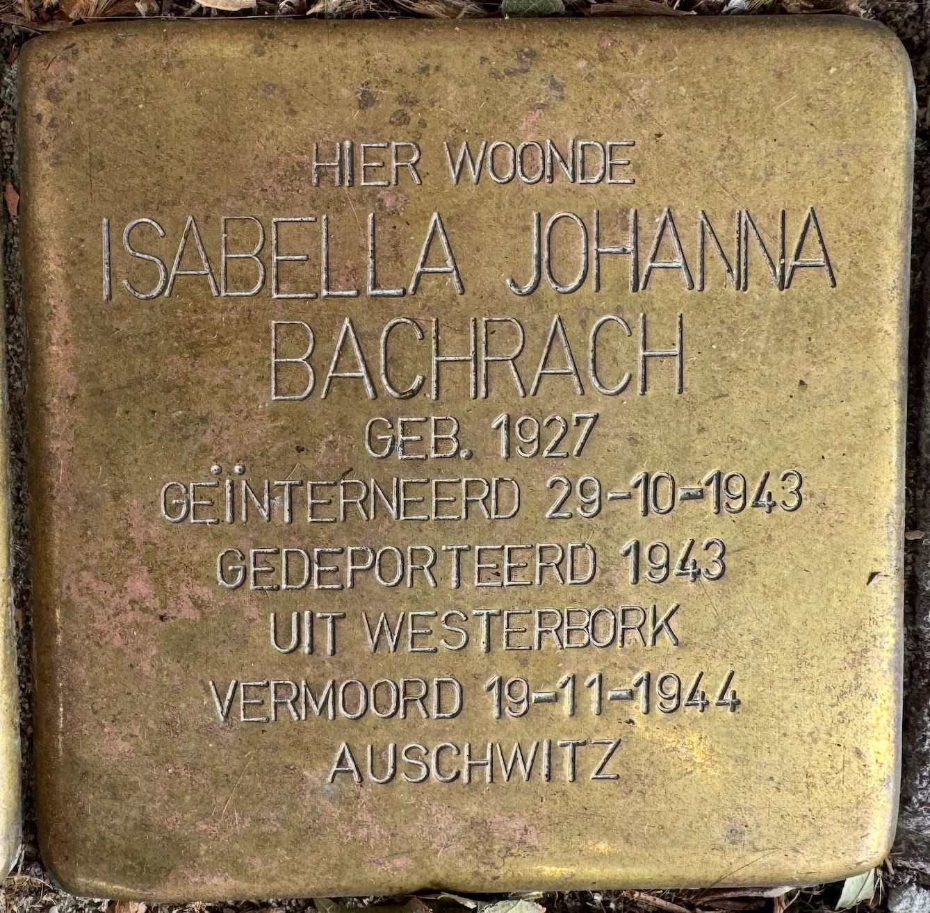 Struikelsteen voor Isabella Johanna Bachrach