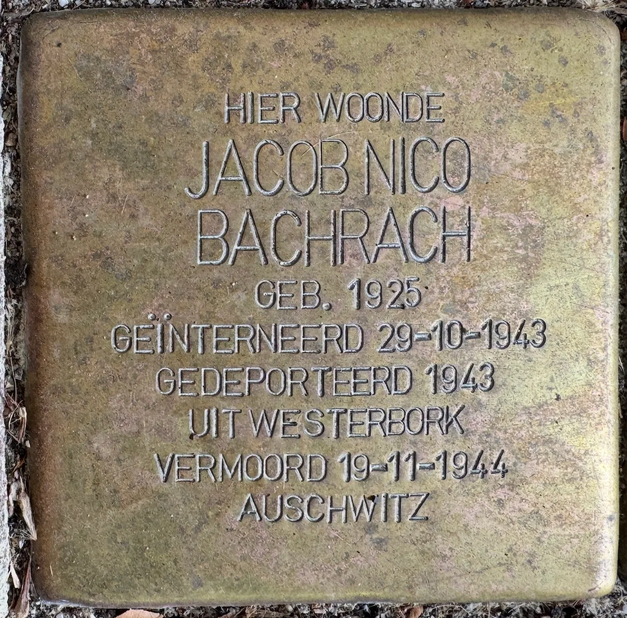 Struikelsteen voor Jacob Nico Bachrach
