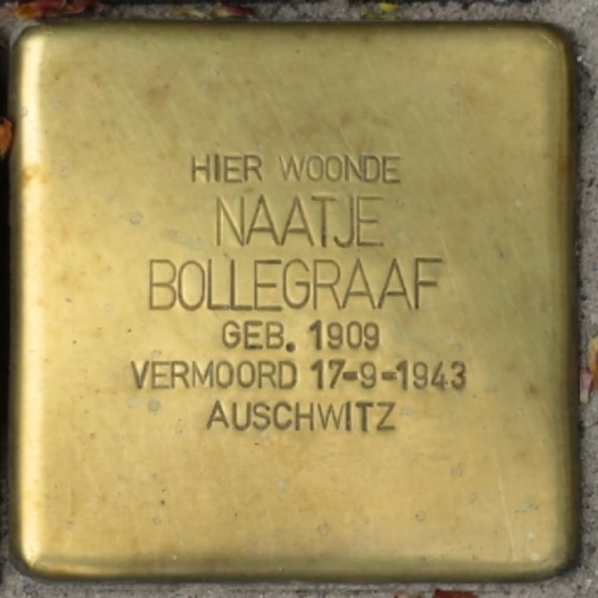 Struikelsteen voor Naatje Simons-Bollegraaf
