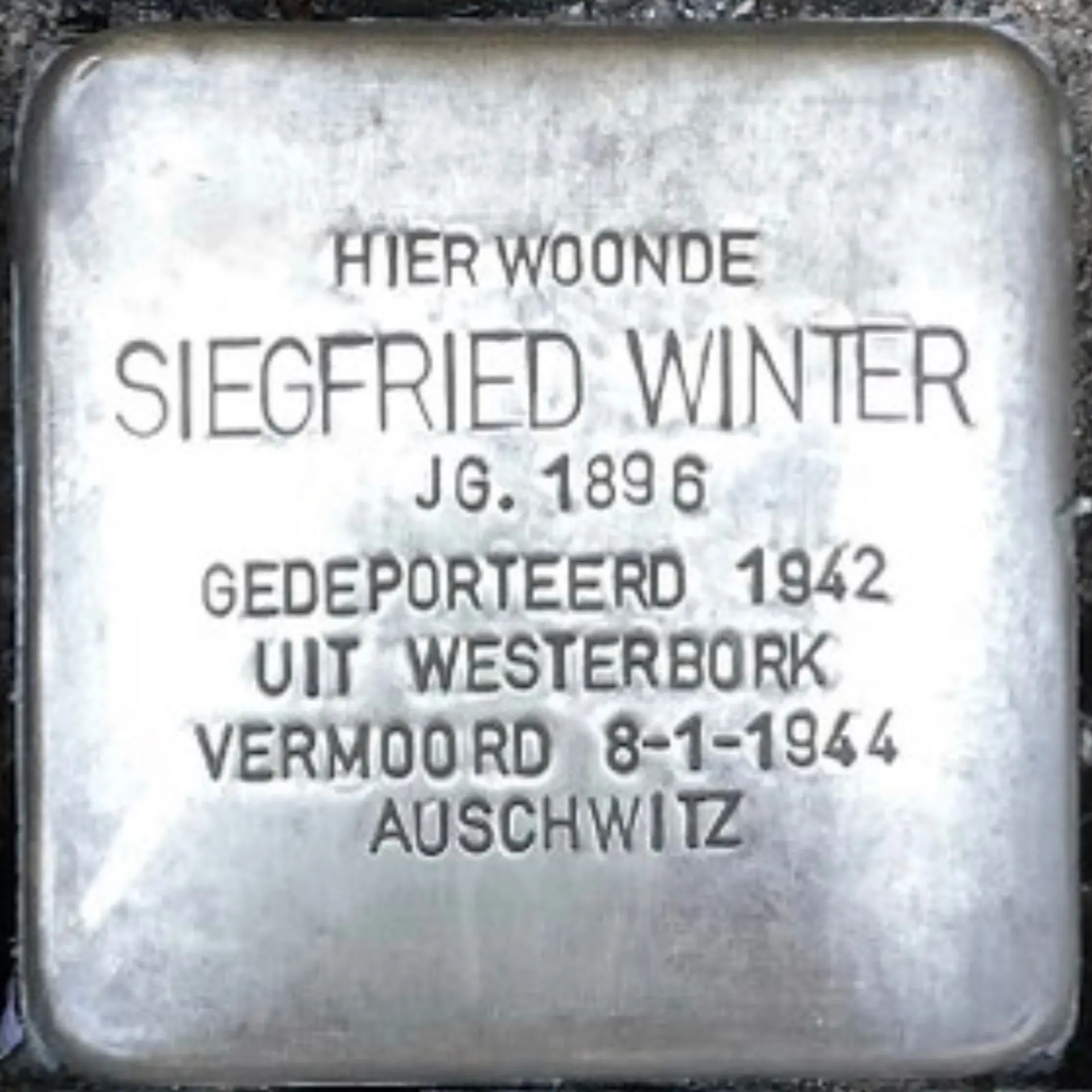 Struikelsteen voor Siegfried Winter