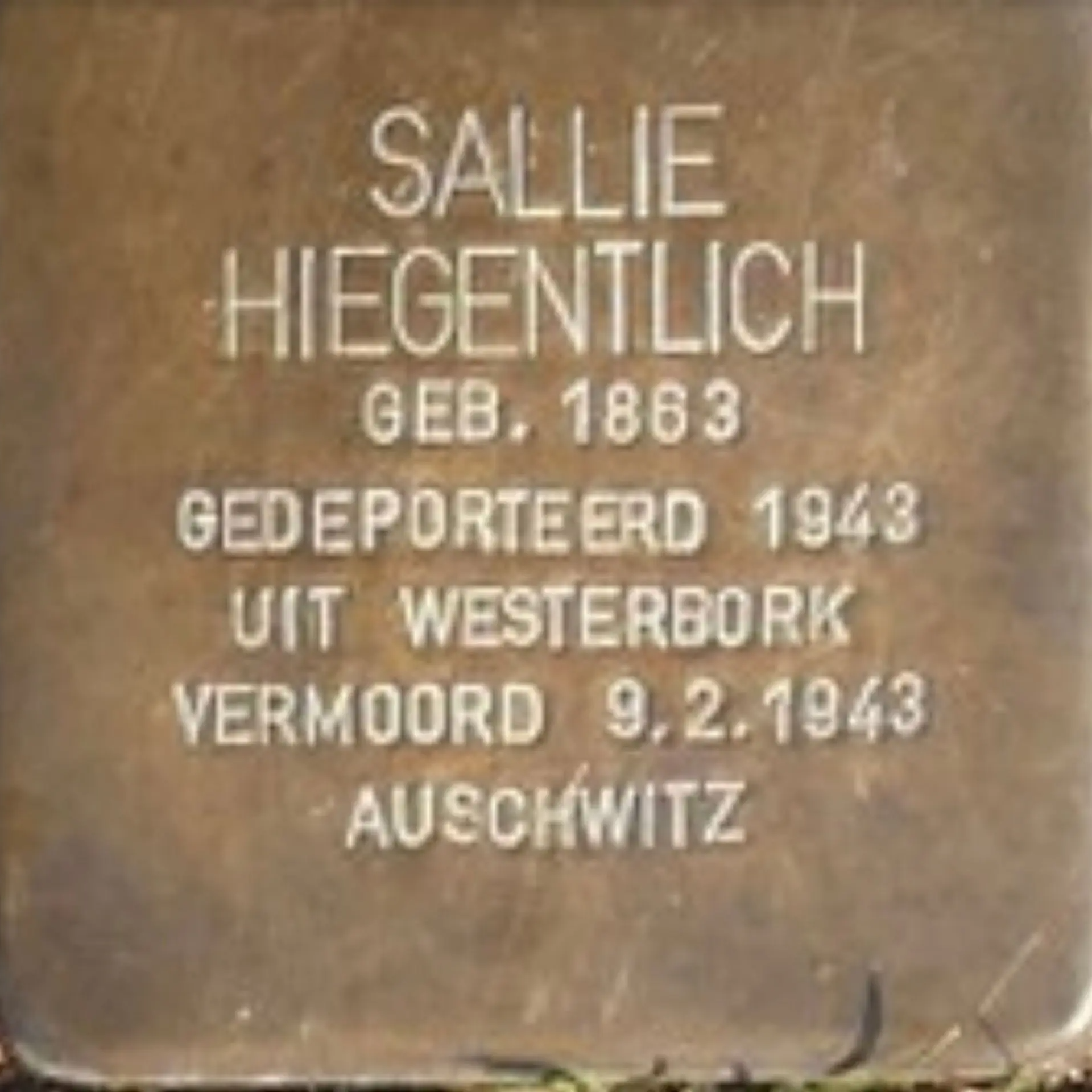 Struikelsteen voor Sallie Hiegentlich