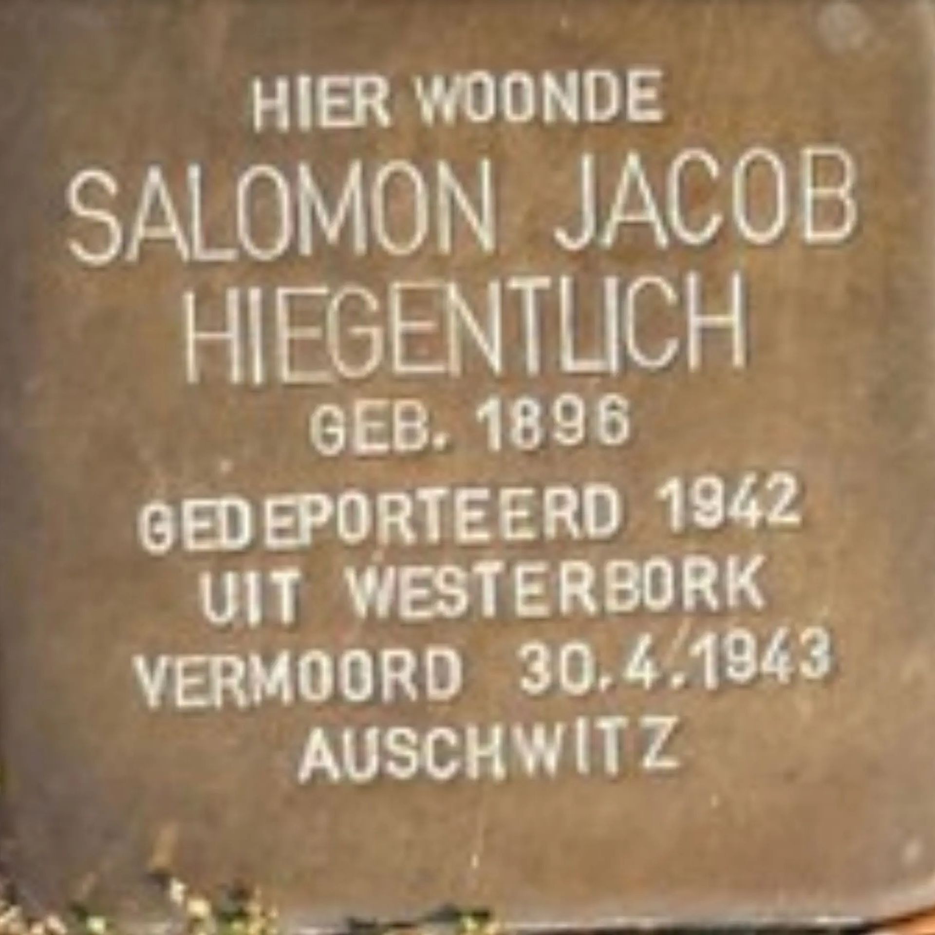 Struikelsteen voor Salomon Jacob Hiegentlich