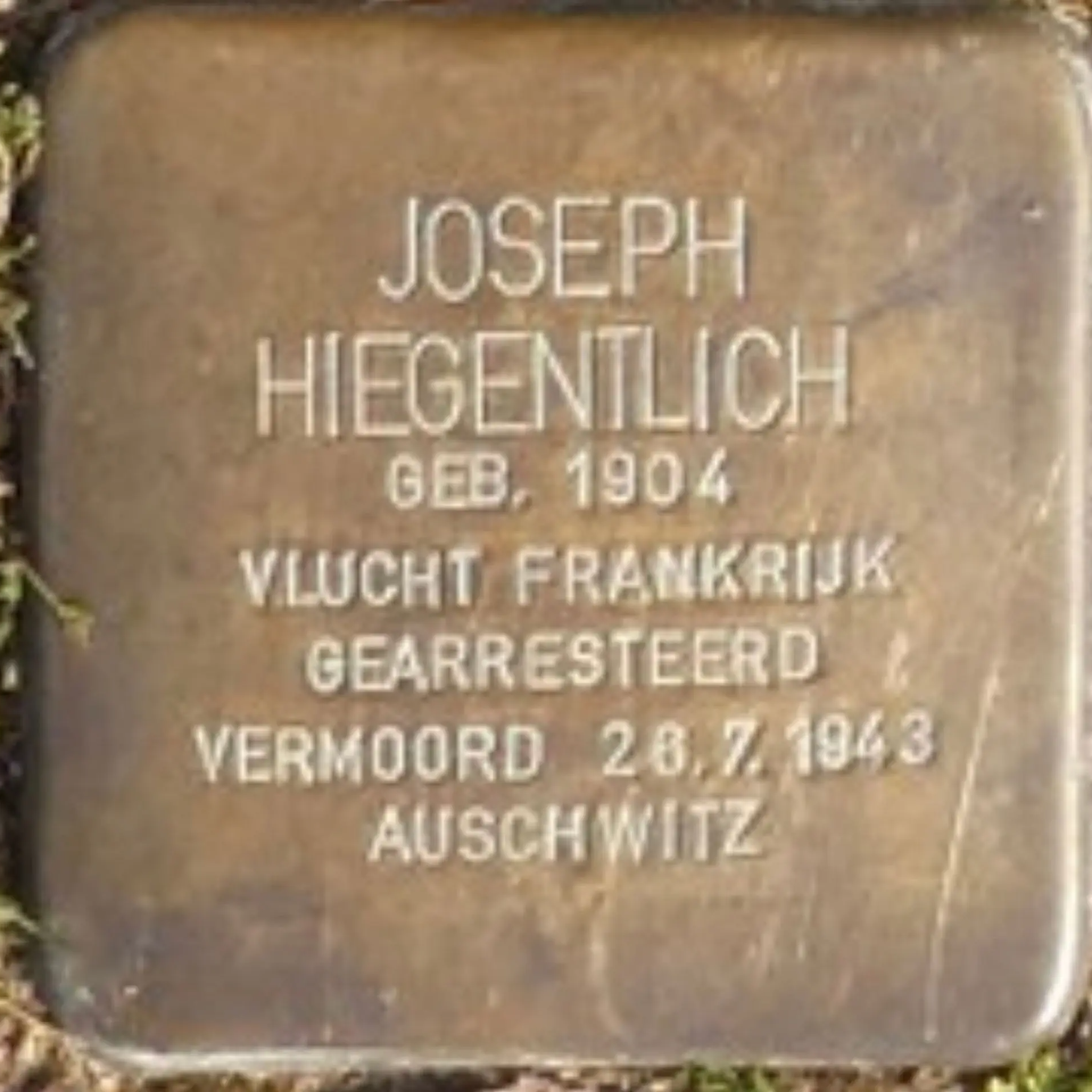 Struikelsteen voor Joseph Hiegentlich