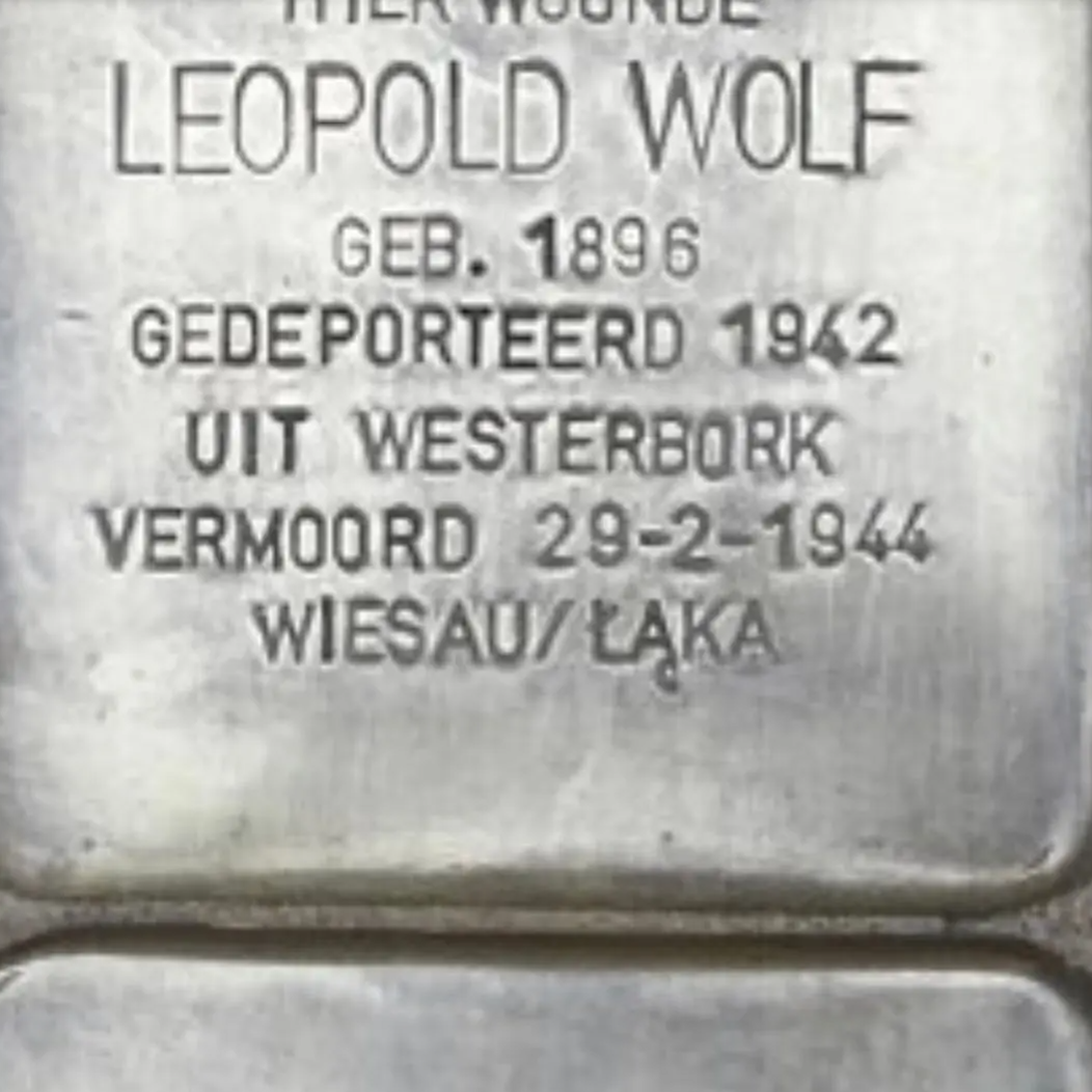 Struikelsteen voor Leopold Wolf